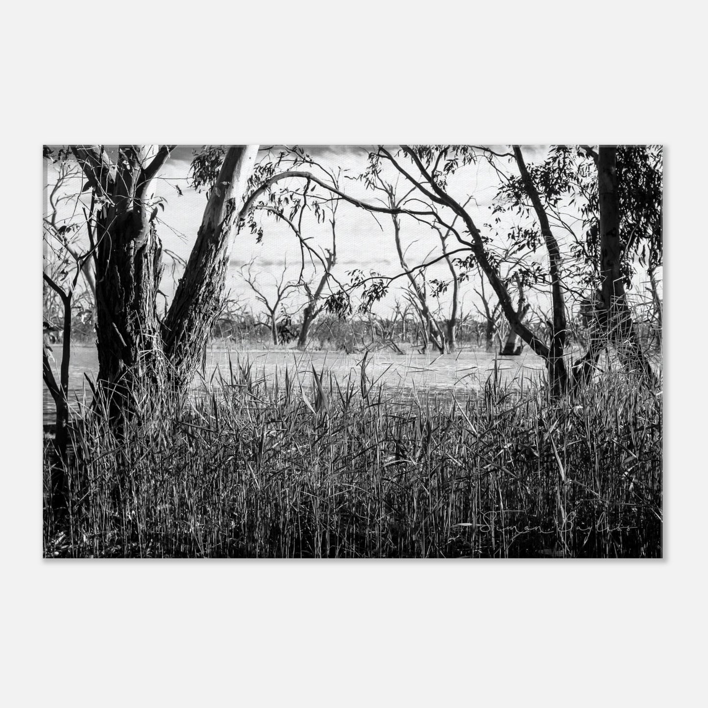 a894ab5e-ebc6-491f-b69e-67d5ee2e1afb