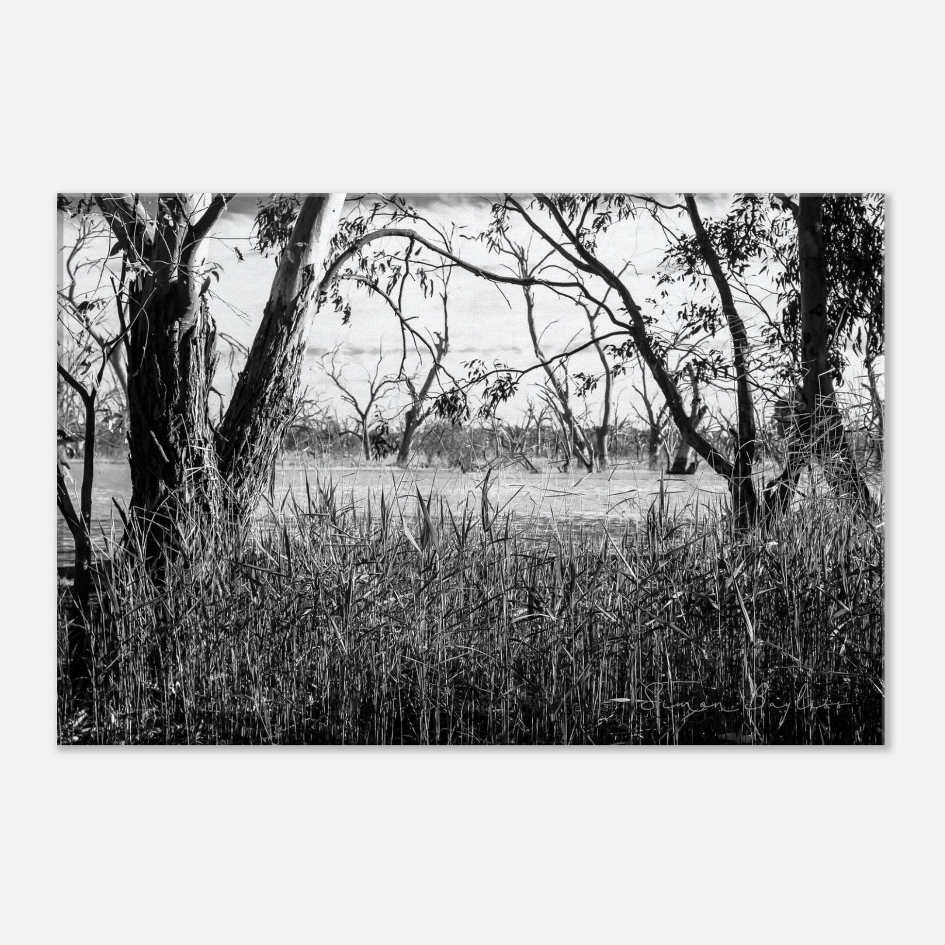 a894ab5e-ebc6-491f-b69e-67d5ee2e1afb