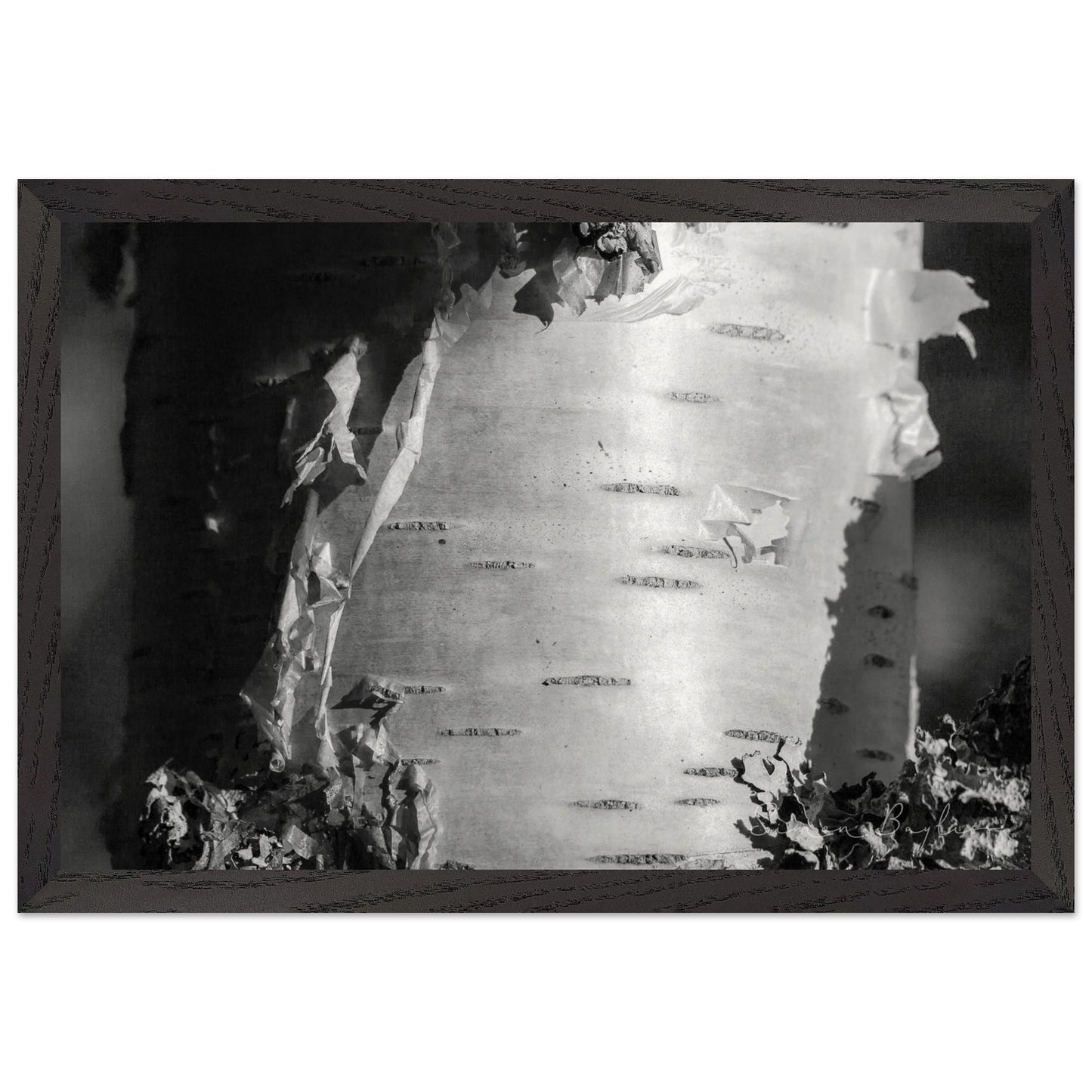 a8b2225a-9b93-46f4-89bd-407f6f810d0e