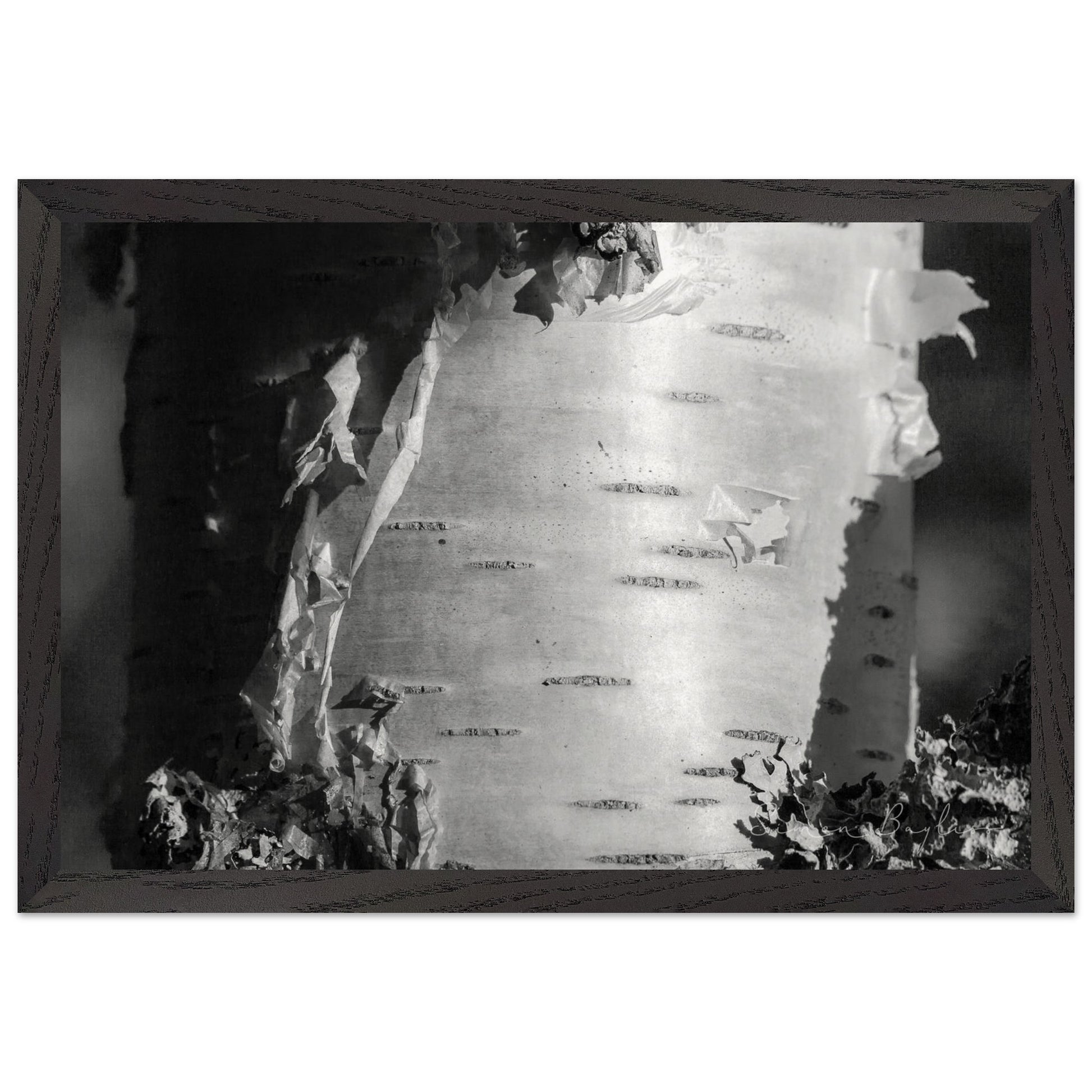 a8b2225a-9b93-46f4-89bd-407f6f810d0e