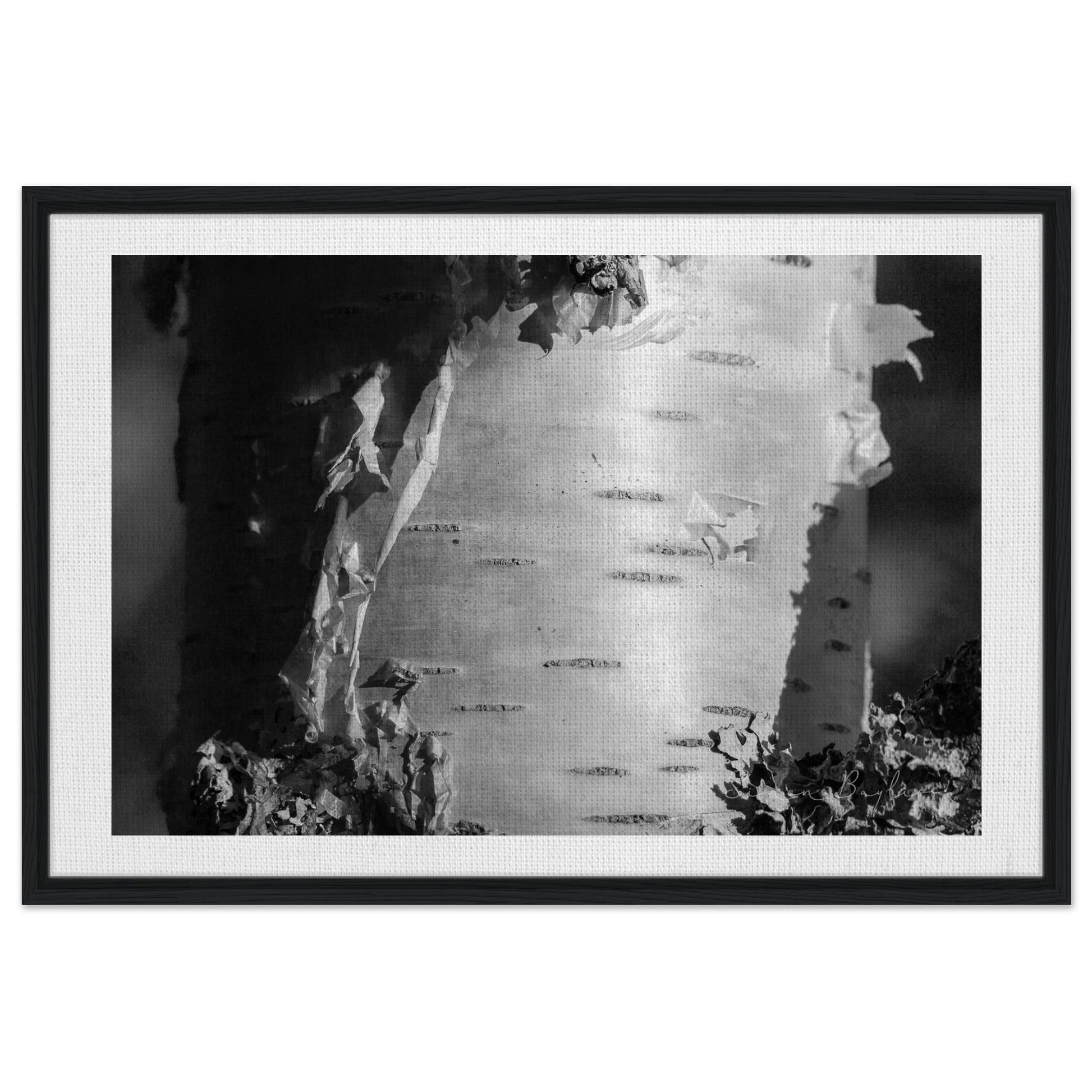 a8b733bd-358d-48c2-9c35-d1a91d3dbb42