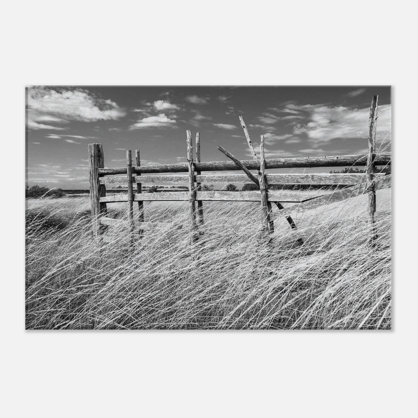 a901837d-a1f2-4efd-b367-1c335cc71de5