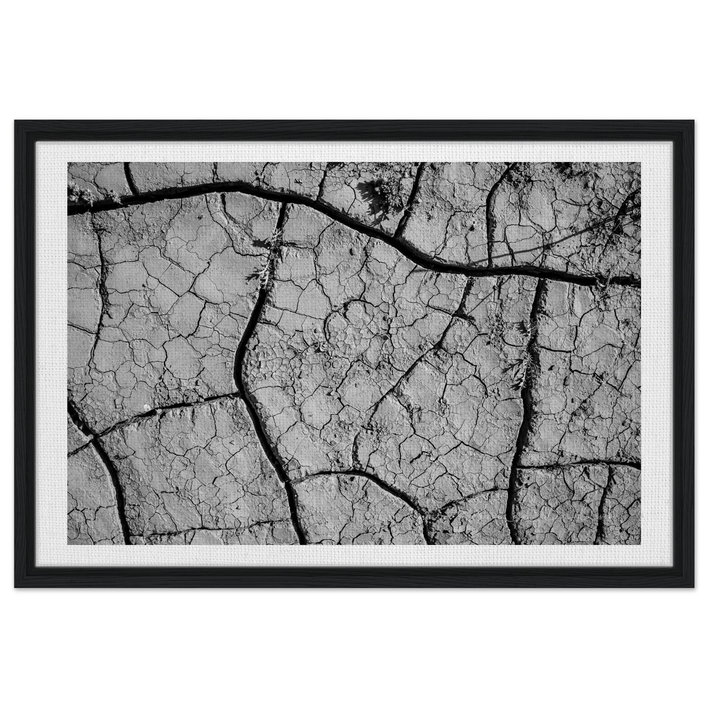 a91f4b56-260c-4542-8ab3-e313619ea31e