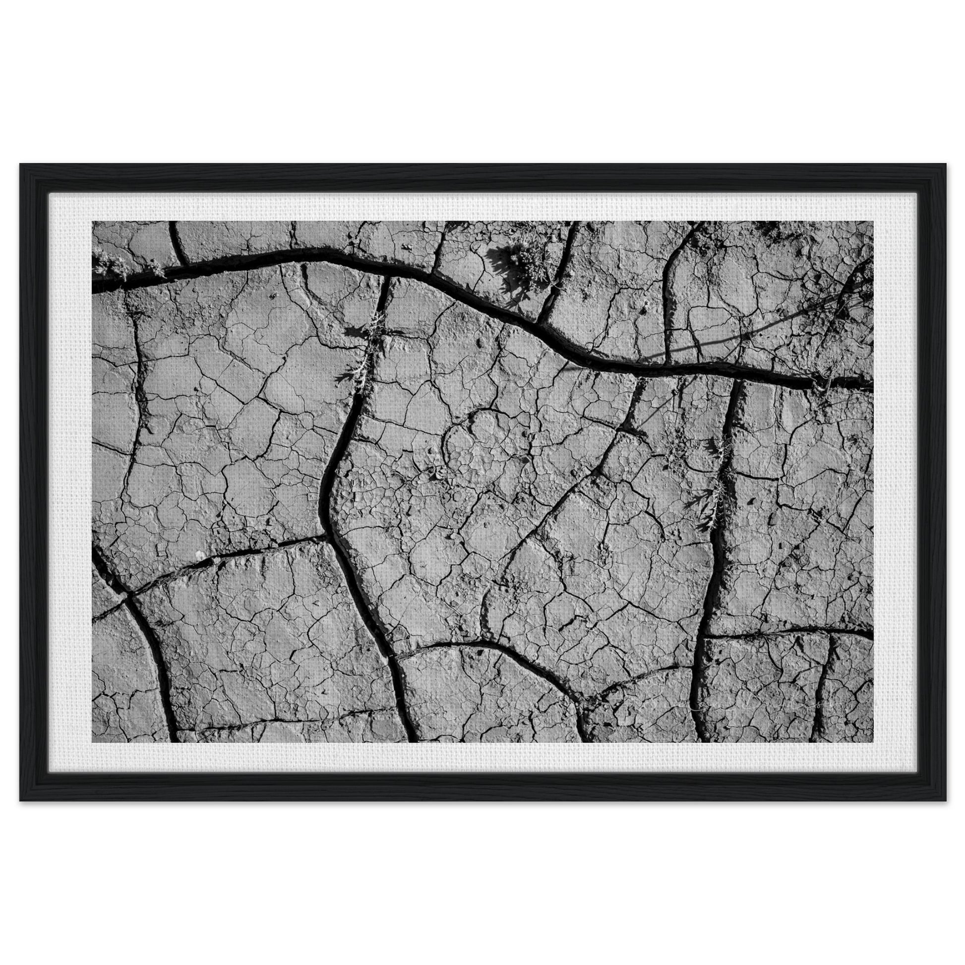 a91f4b56-260c-4542-8ab3-e313619ea31e