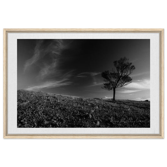 a94cf807-9a8e-4a6c-9045-cf2dd74b55ef