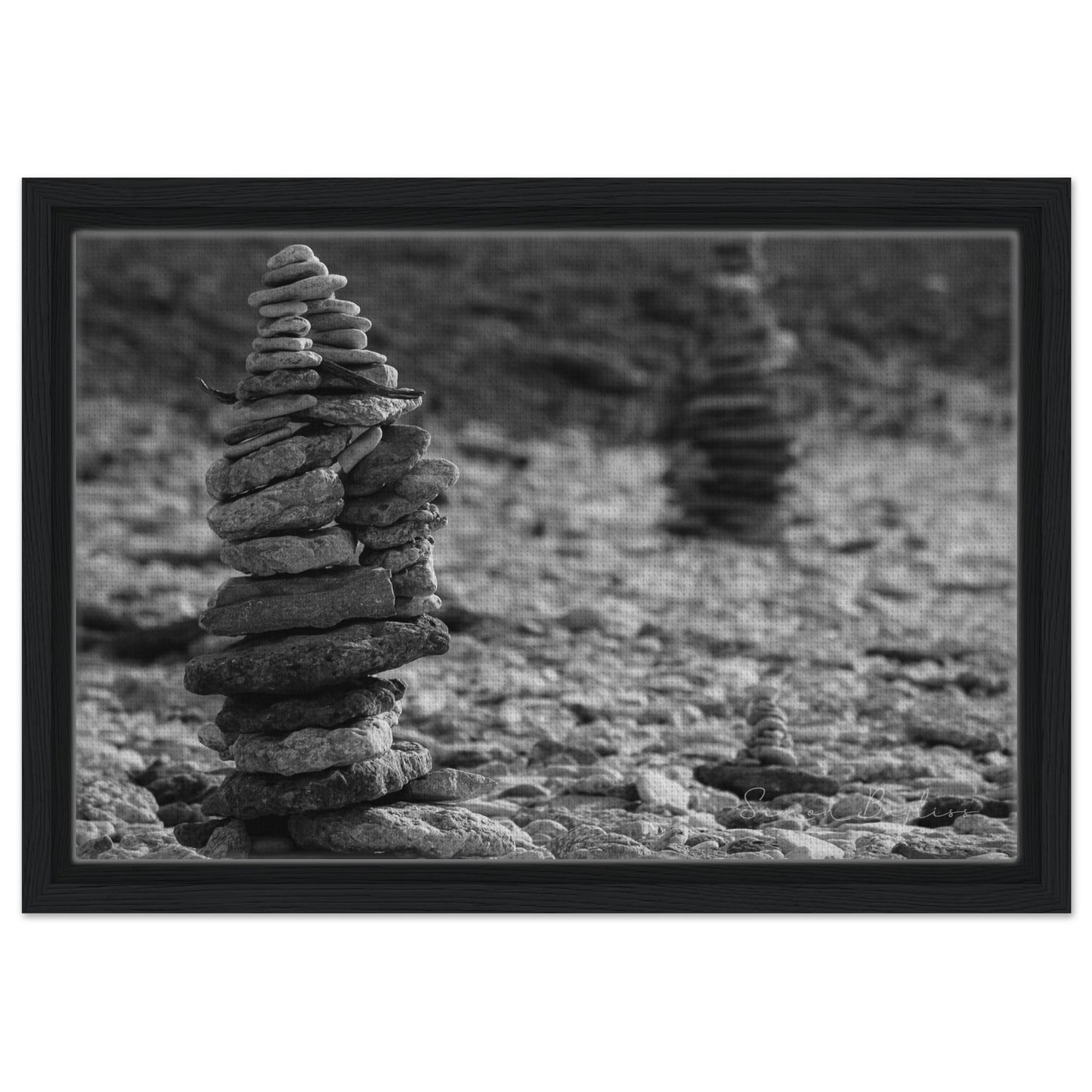 a9556bd8-cfe9-4a5a-9953-f30e34d49e04