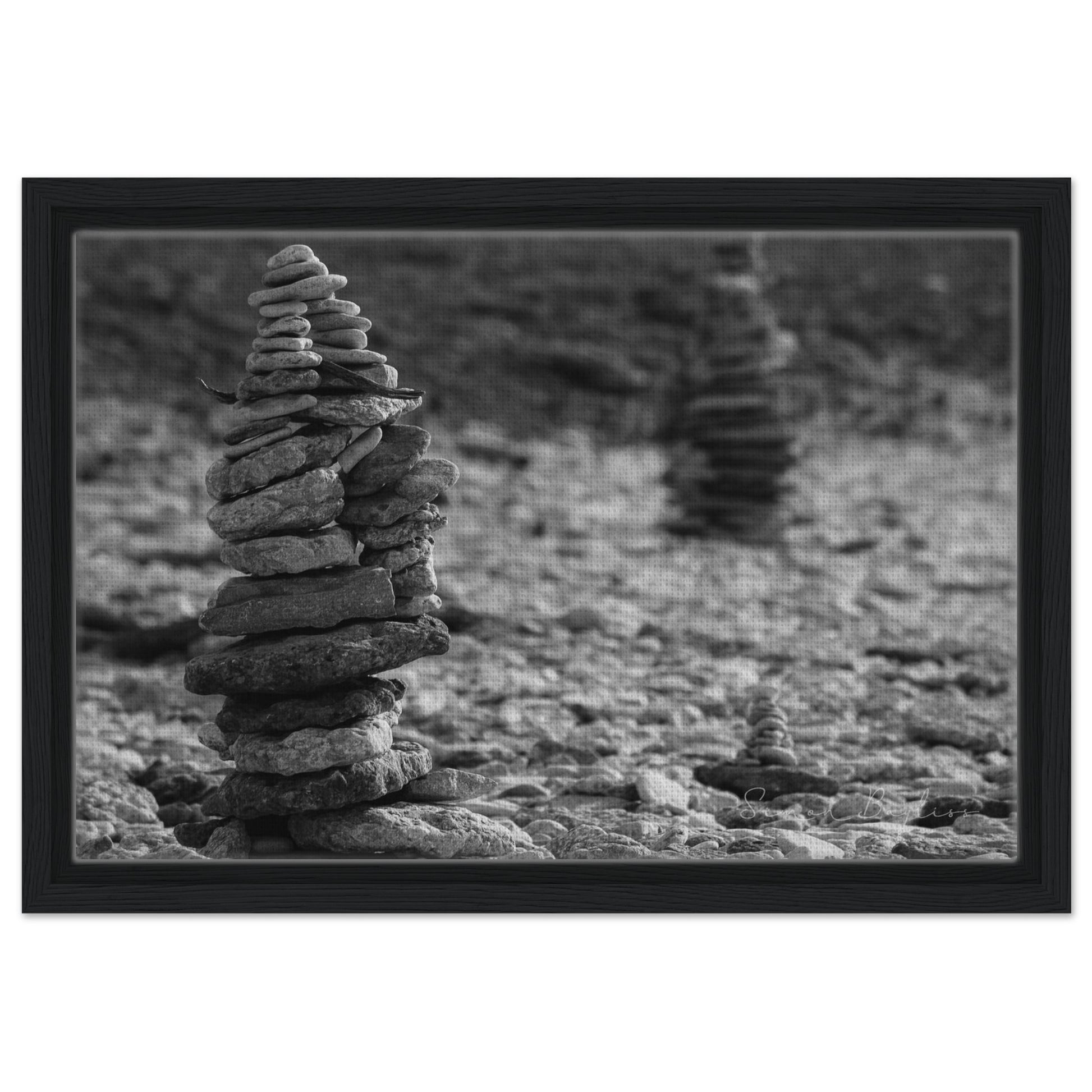 a9556bd8-cfe9-4a5a-9953-f30e34d49e04