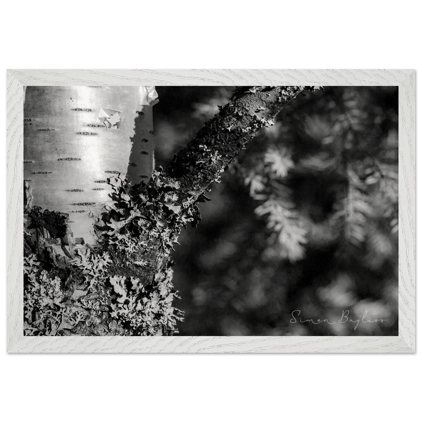 a9633742-c94a-48d0-b180-82fe09b7f398