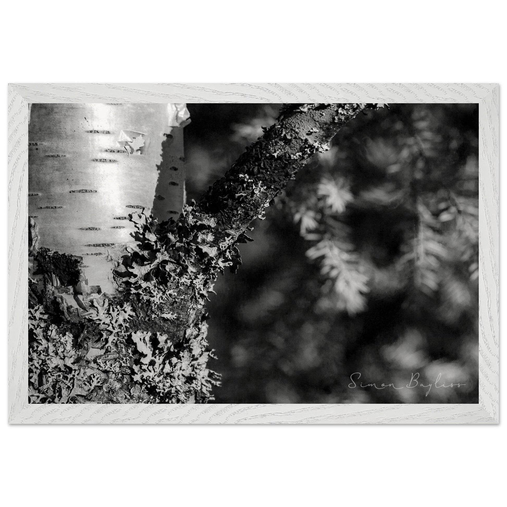 a9633742-c94a-48d0-b180-82fe09b7f398