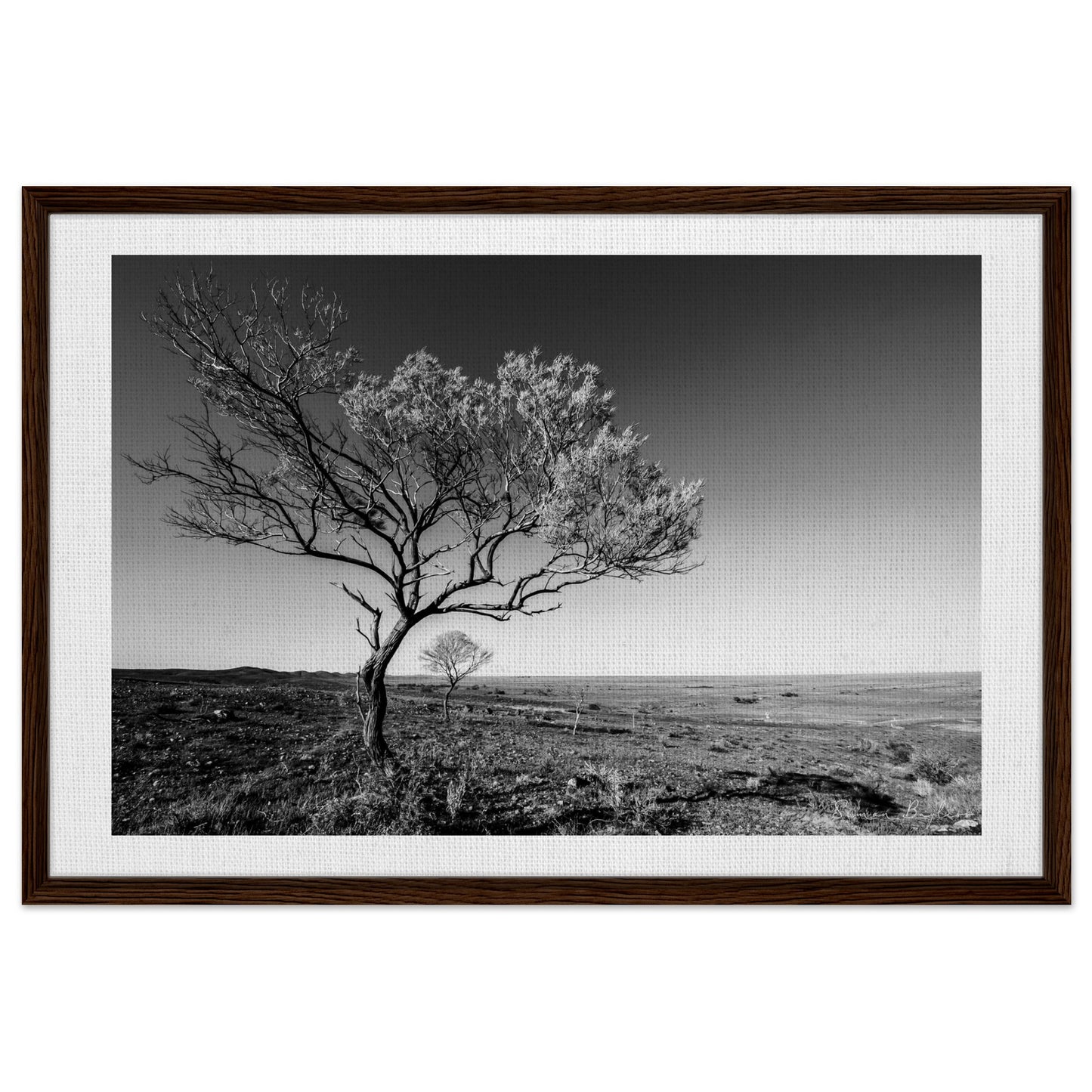 a9bfac91-6fd9-48b7-968f-54284d0f9a94