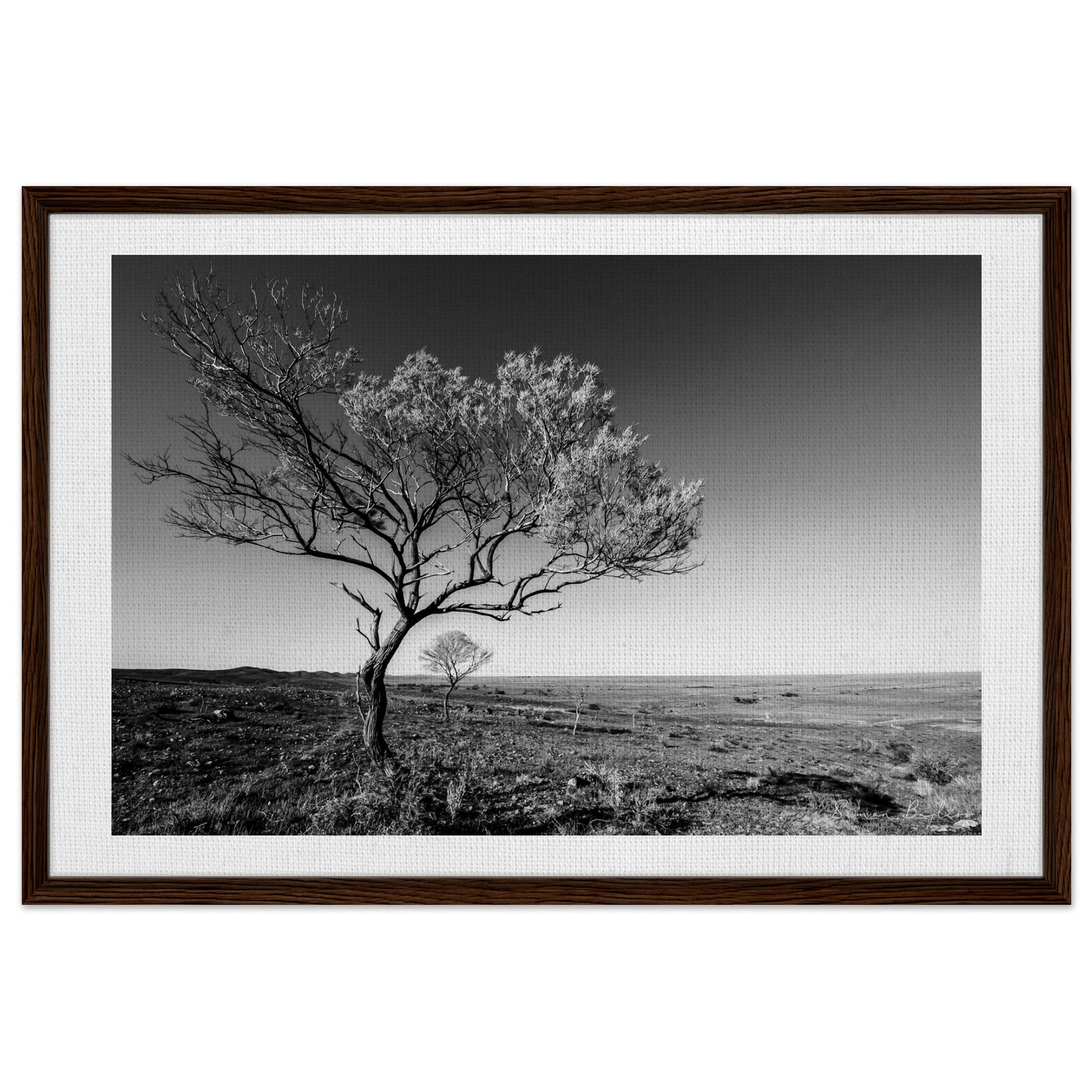 a9bfac91-6fd9-48b7-968f-54284d0f9a94