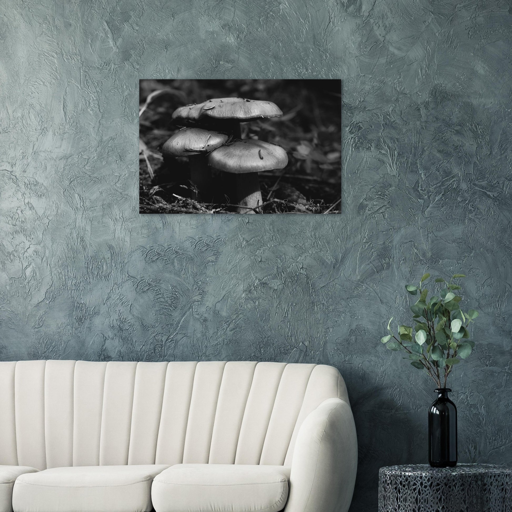 a9f4e488-6f26-4b78-a9c9-883a7ae69fba