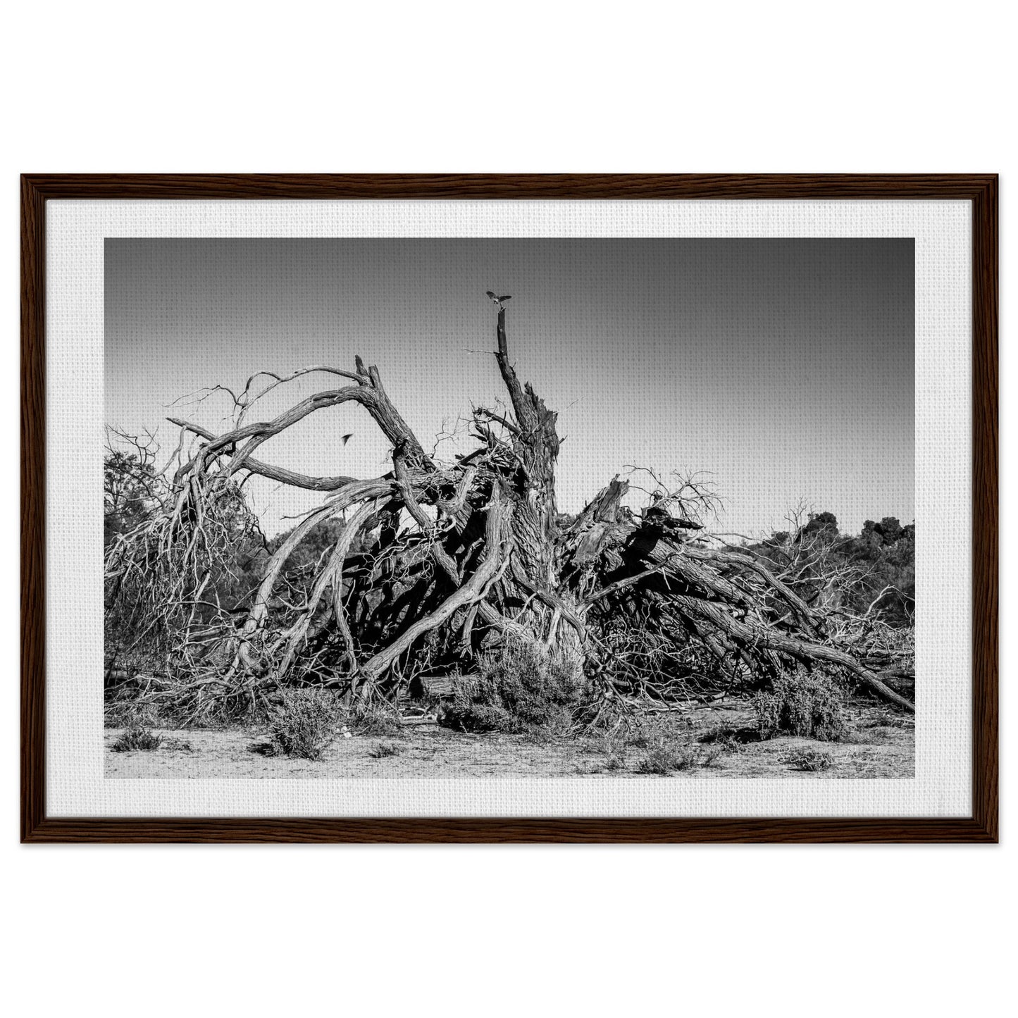 aa47d32e-6b17-4490-8a78-94d2e15ee849