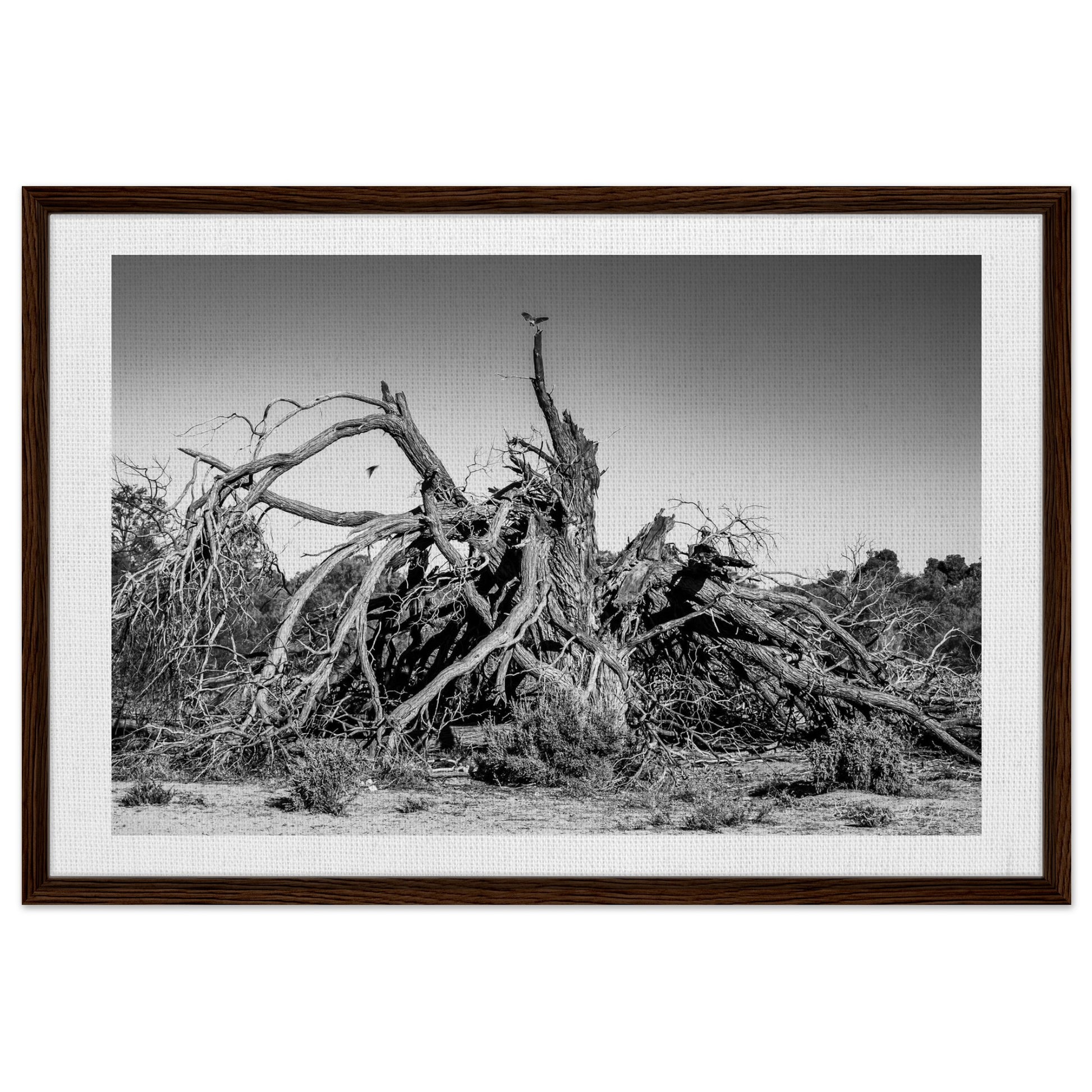 aa47d32e-6b17-4490-8a78-94d2e15ee849