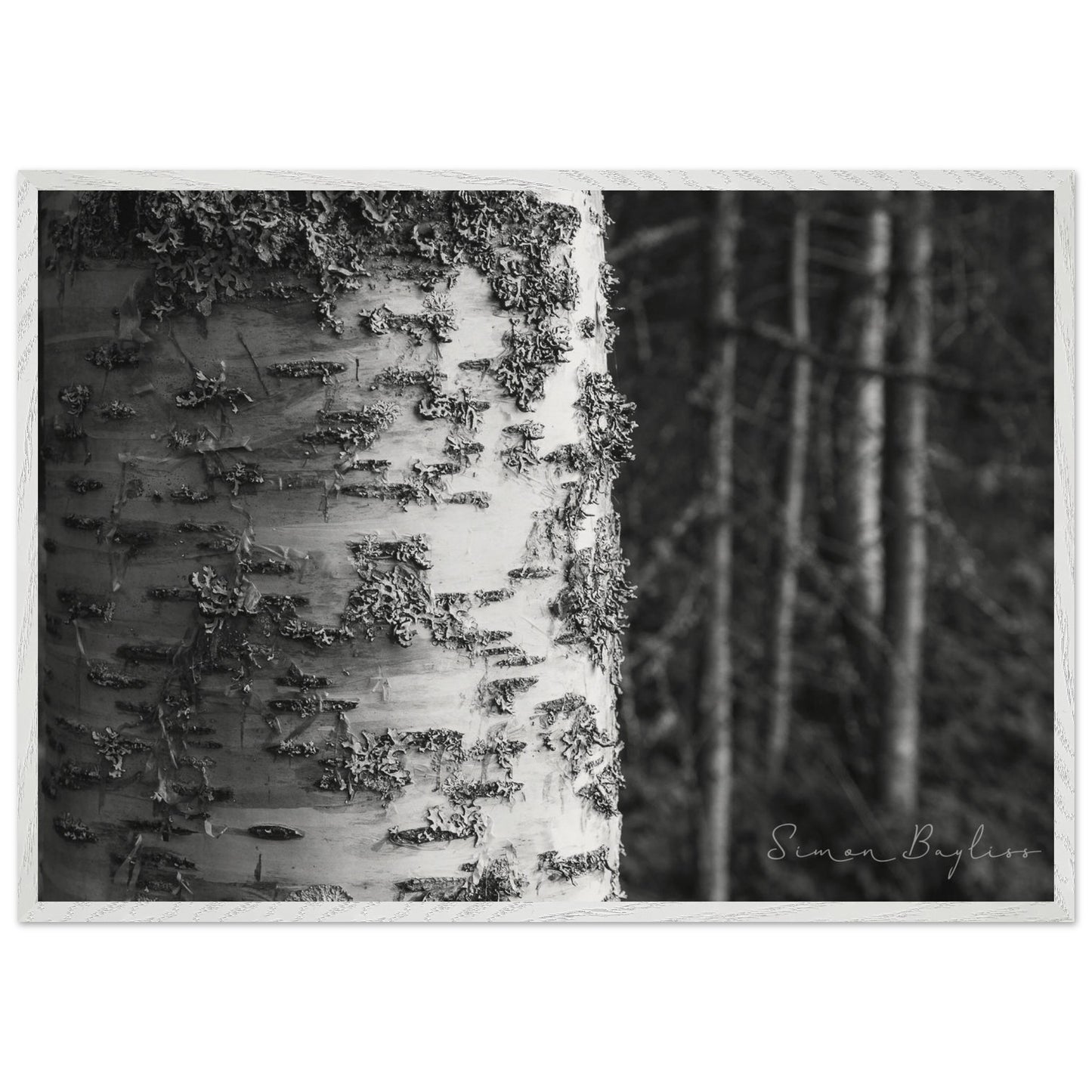 aa82e305-033a-4ecf-aa3d-bb1929905136