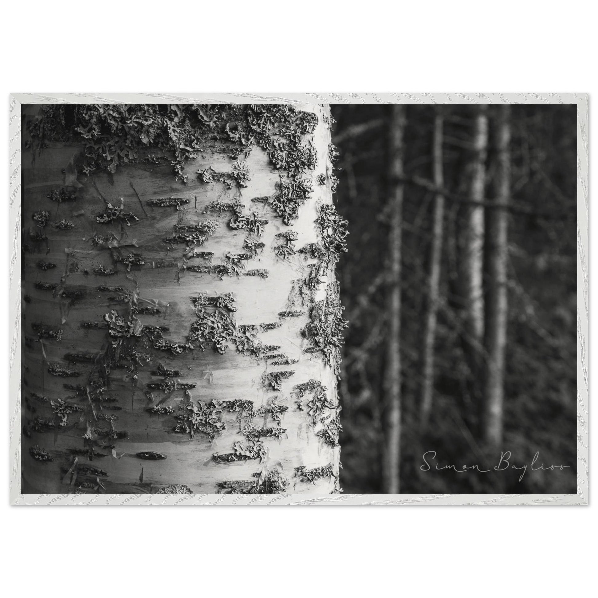 aa82e305-033a-4ecf-aa3d-bb1929905136