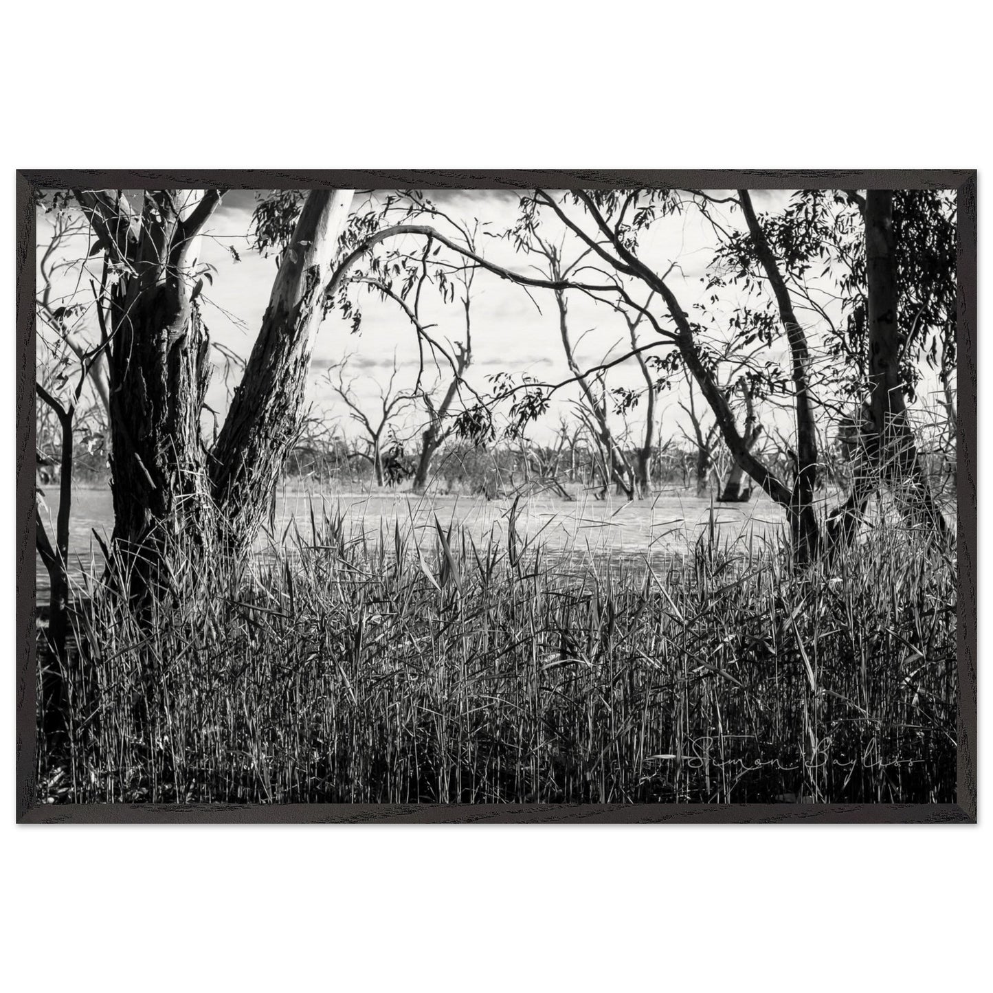 aa9887fc-8e04-4811-8fdc-66135eec5e43