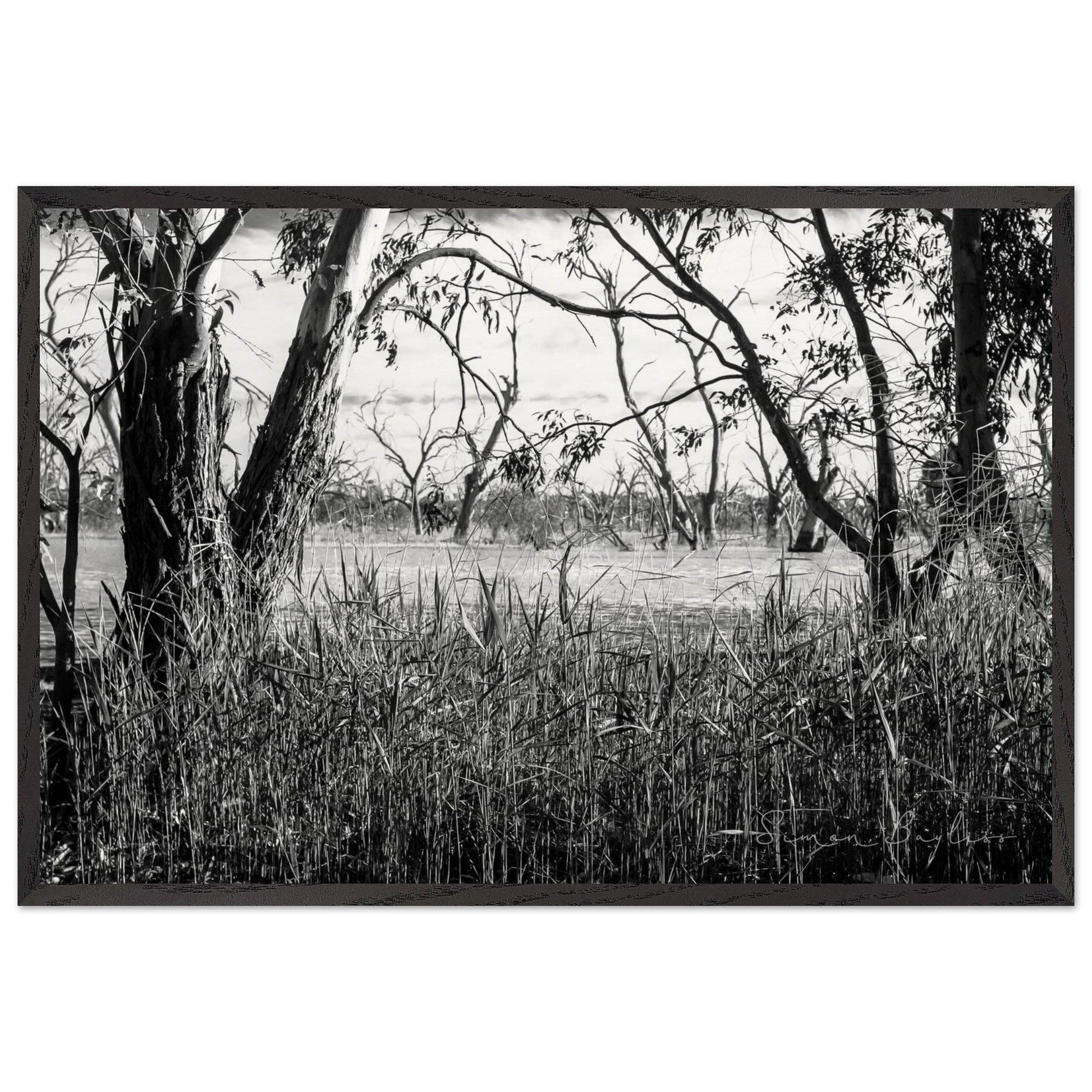 aa9887fc-8e04-4811-8fdc-66135eec5e43