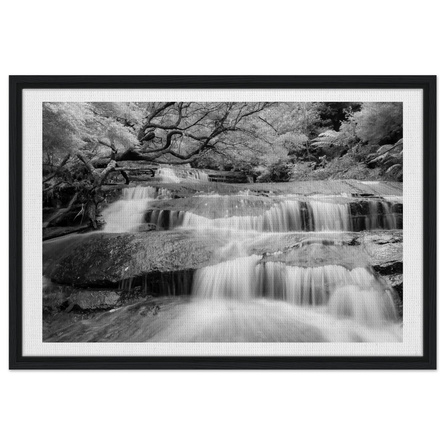 aacbe16d-8a33-4bec-aa4c-882fb5f4e11b