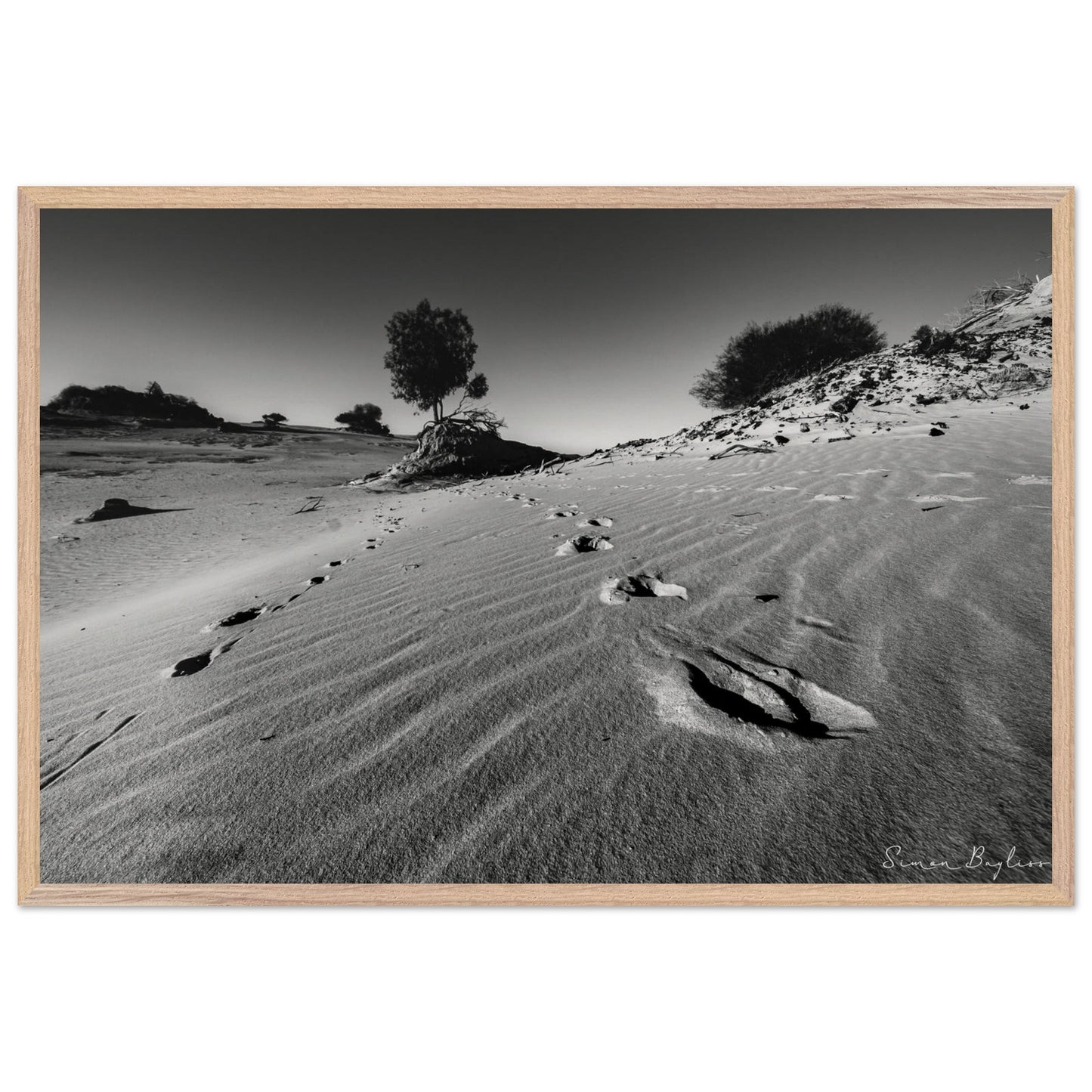 aace89a2-6bbb-4b71-b7aa-eee844545d1f