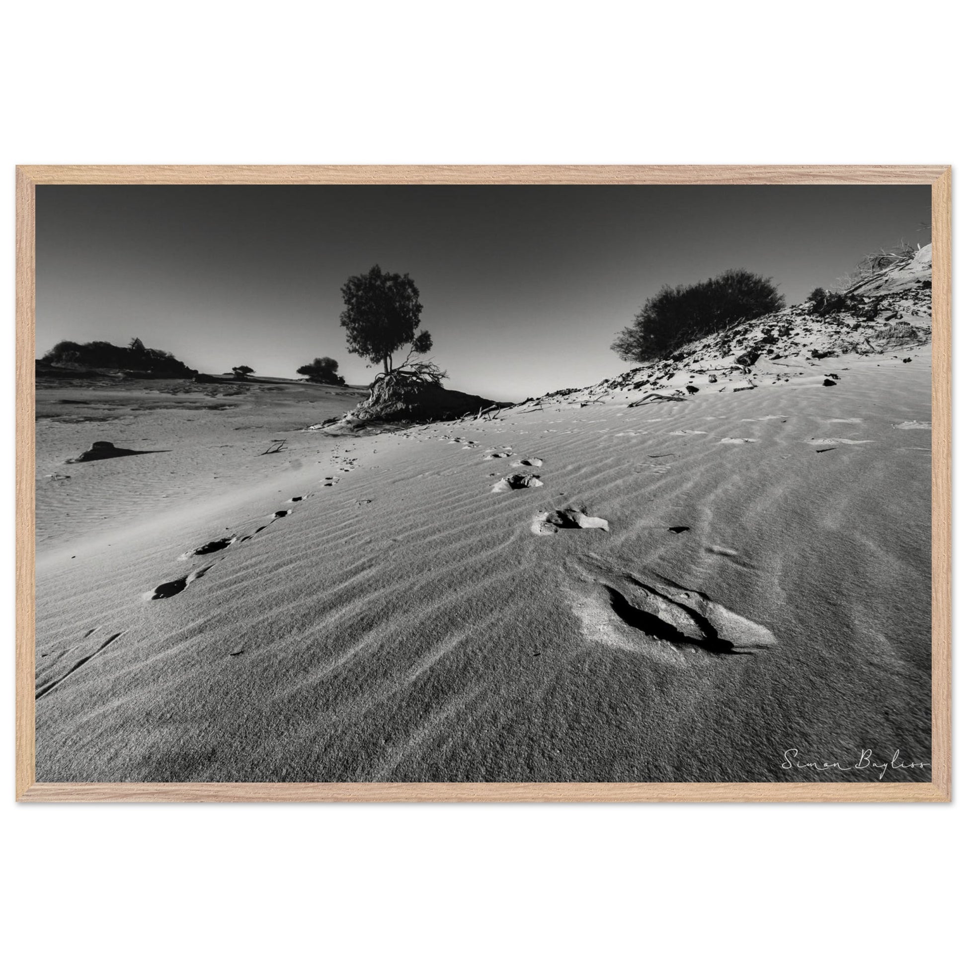 aace89a2-6bbb-4b71-b7aa-eee844545d1f