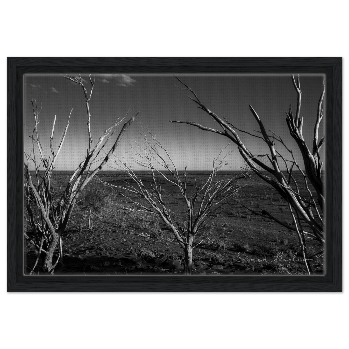 ab374786-dc4b-4280-817c-5f05386c4147