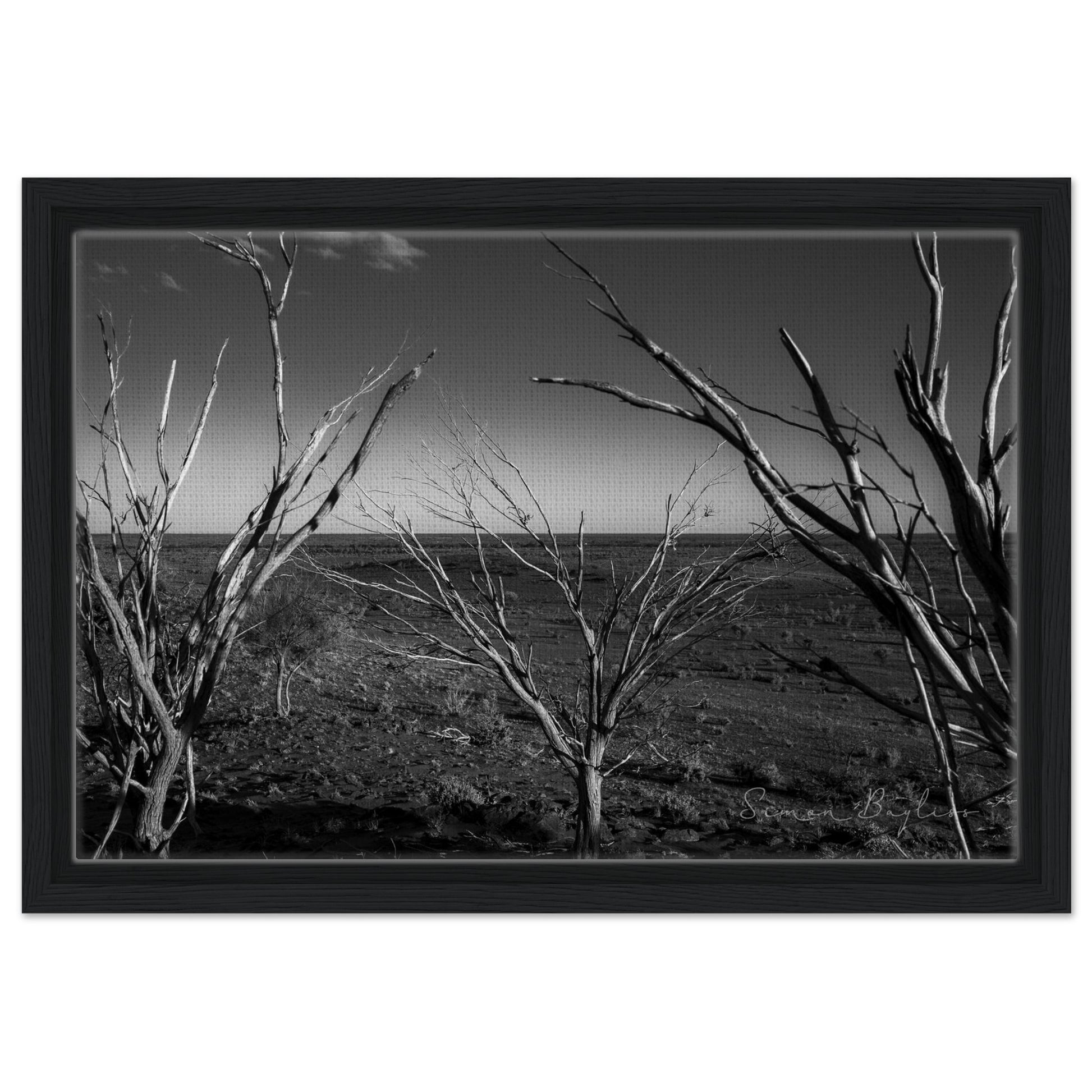 ab374786-dc4b-4280-817c-5f05386c4147