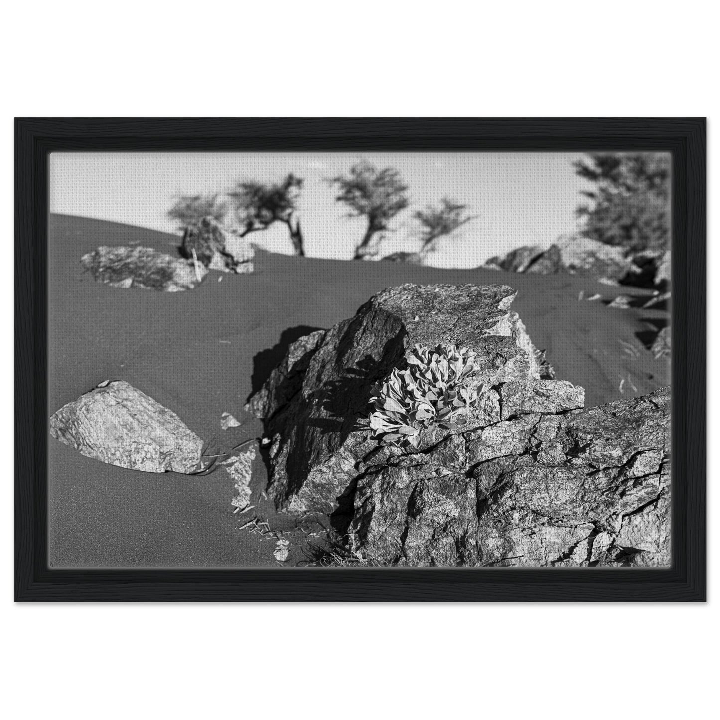 ab984800-af46-4803-b476-55467d067ec2