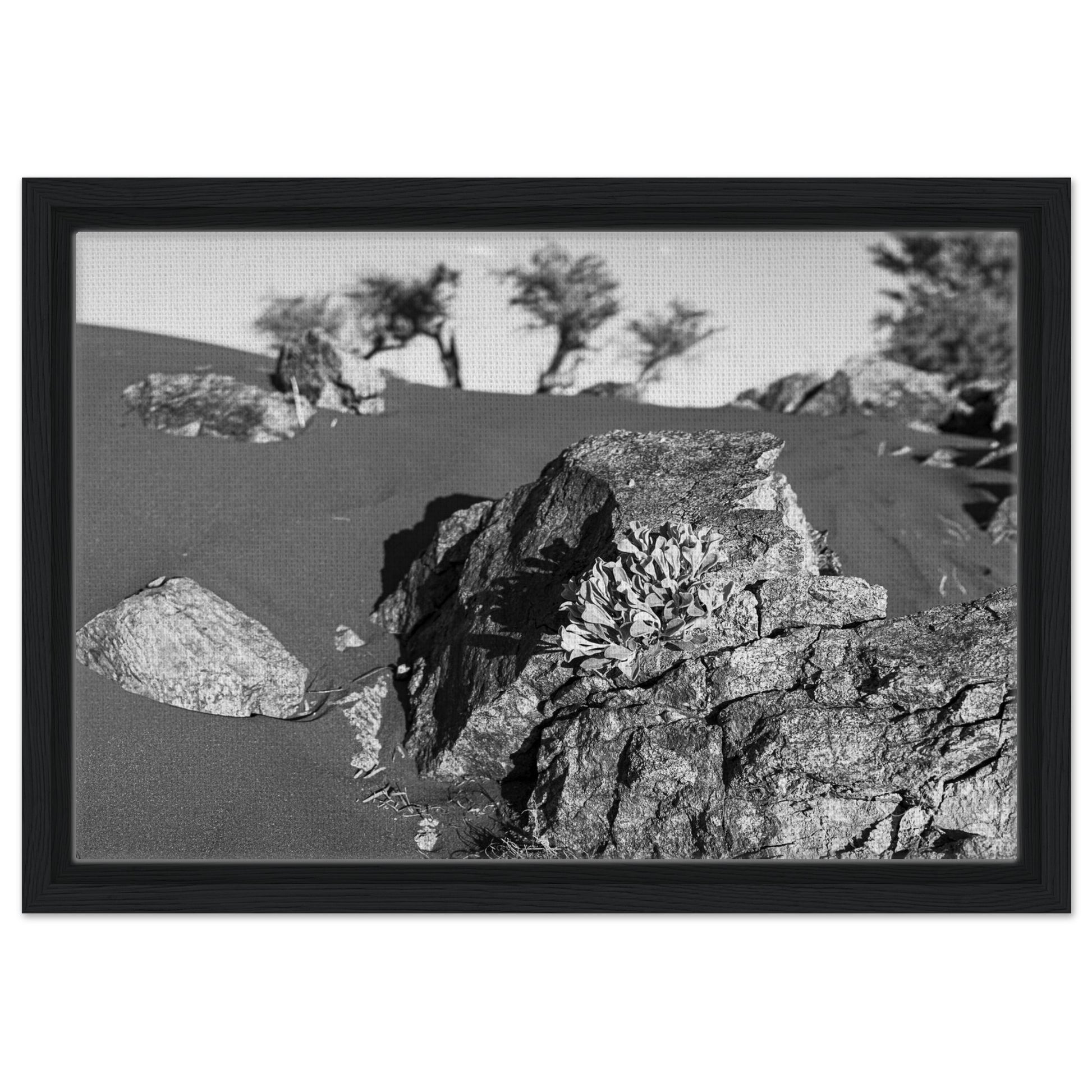 ab984800-af46-4803-b476-55467d067ec2