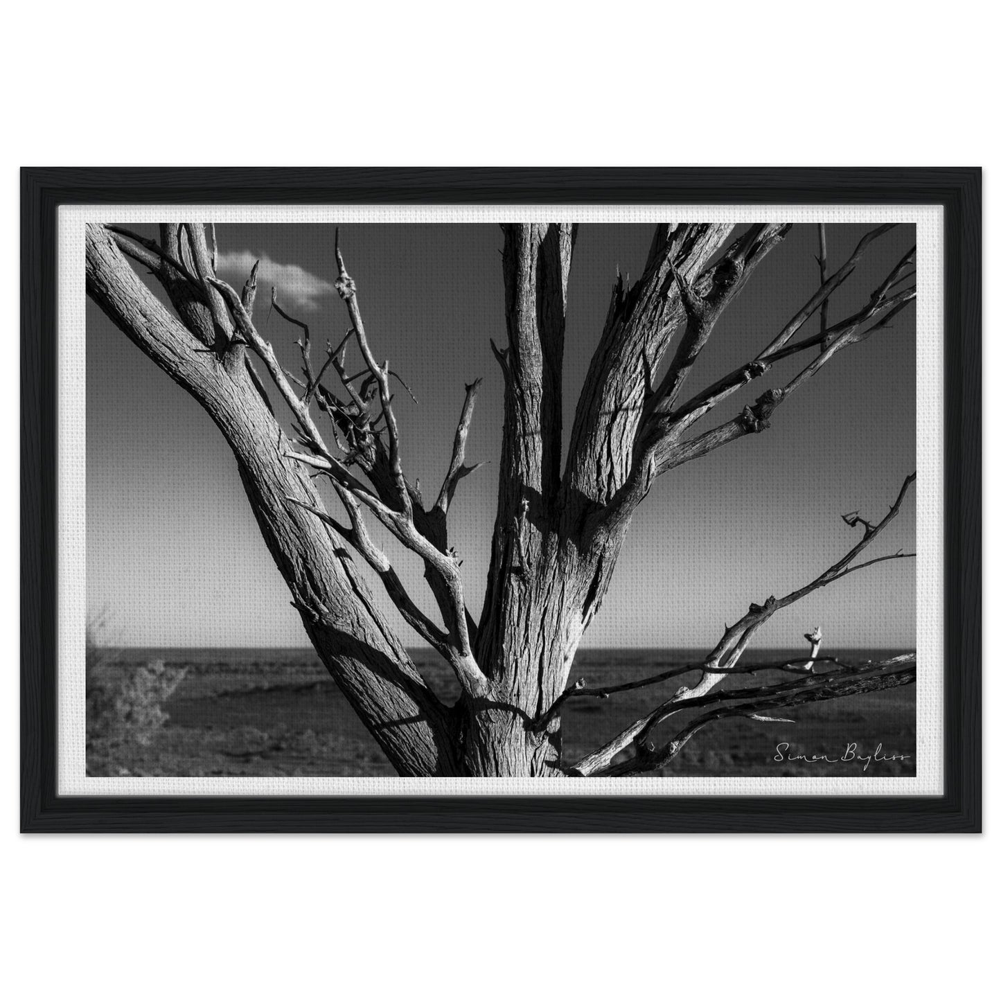 abb22ad8-12d7-407e-a132-2d64c406caf9