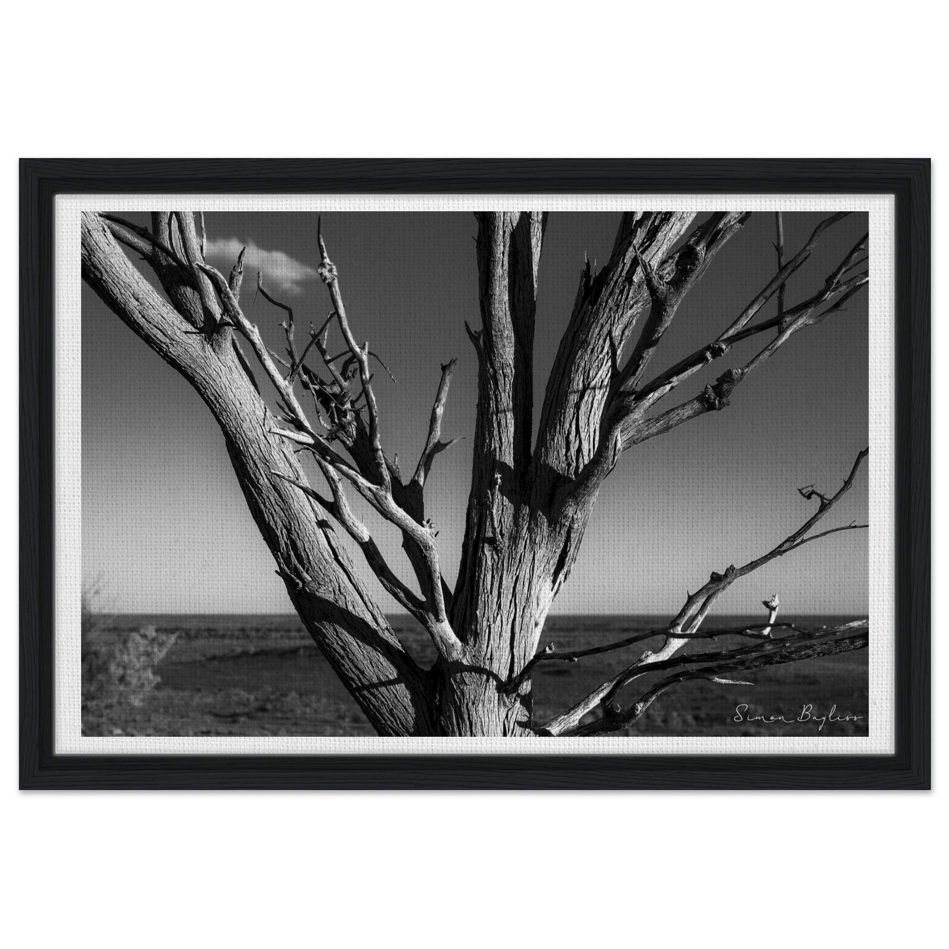 abb22ad8-12d7-407e-a132-2d64c406caf9