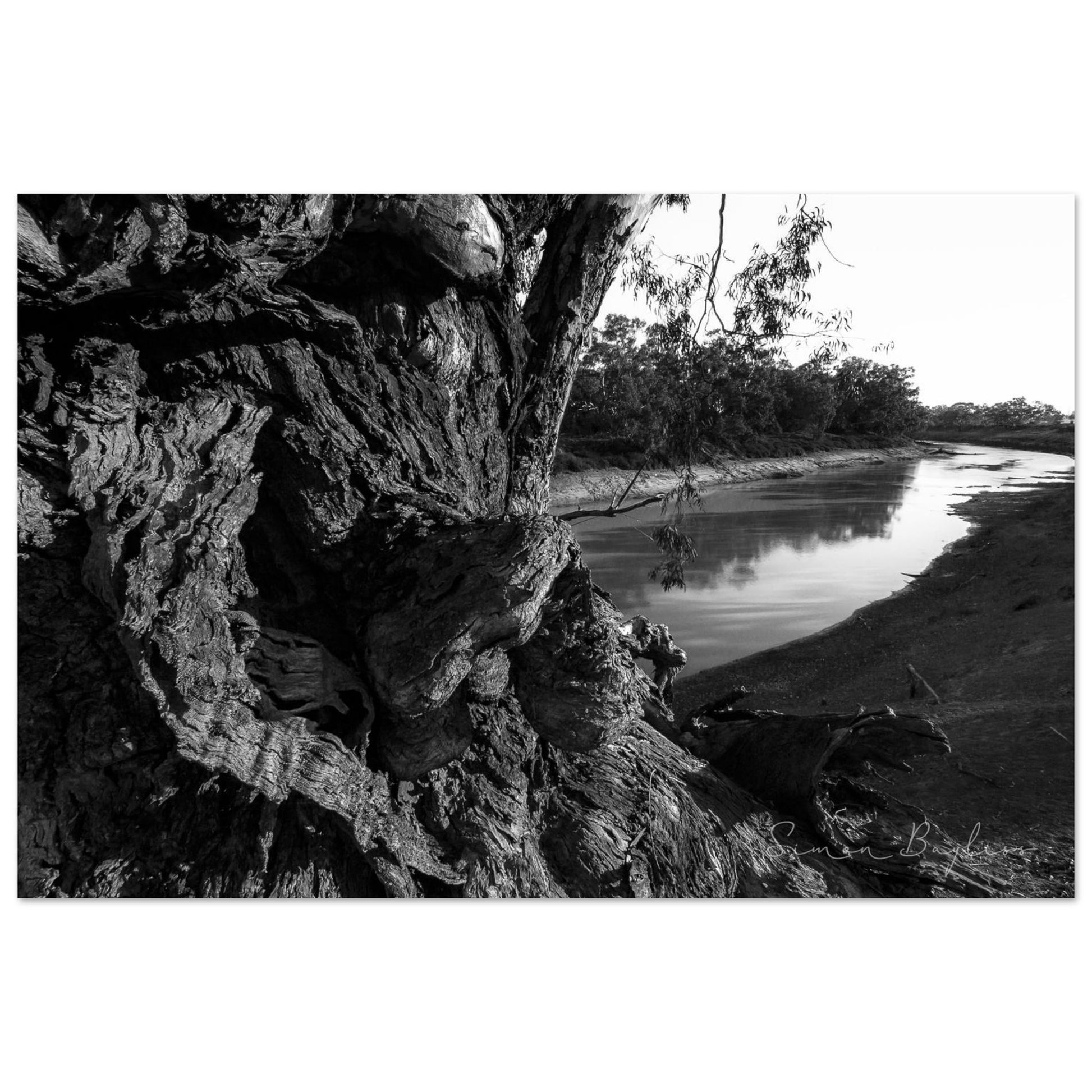 ac13df40-400a-4a5e-b646-f9e944dca3f5