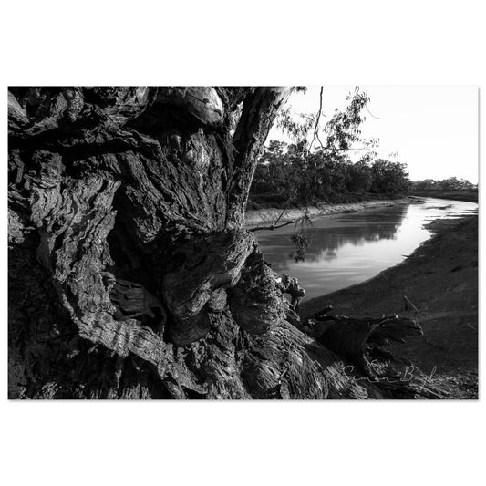 ac13df40-400a-4a5e-b646-f9e944dca3f5