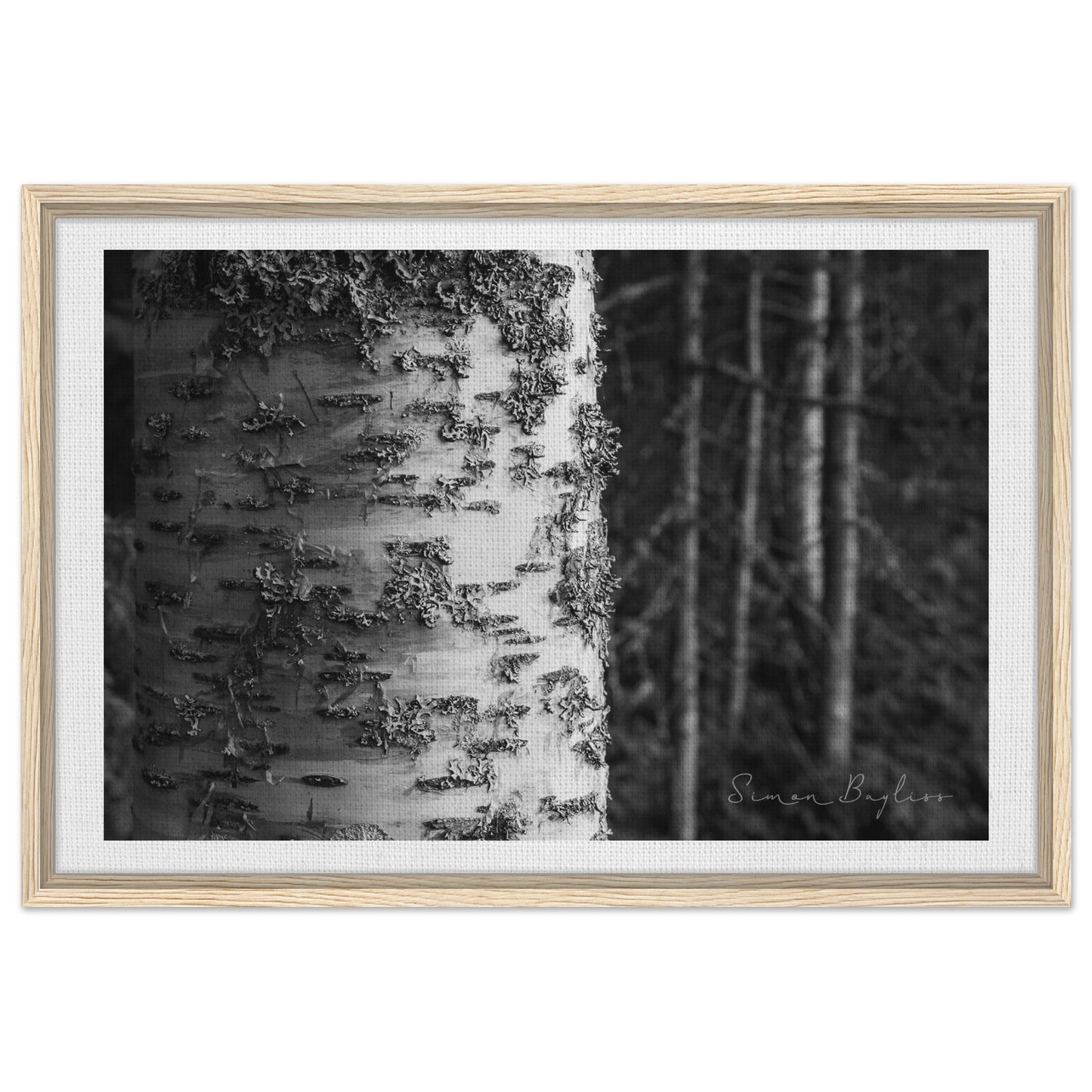 ac1f0a4d-0806-42c5-8b6e-a65e9b4e8171