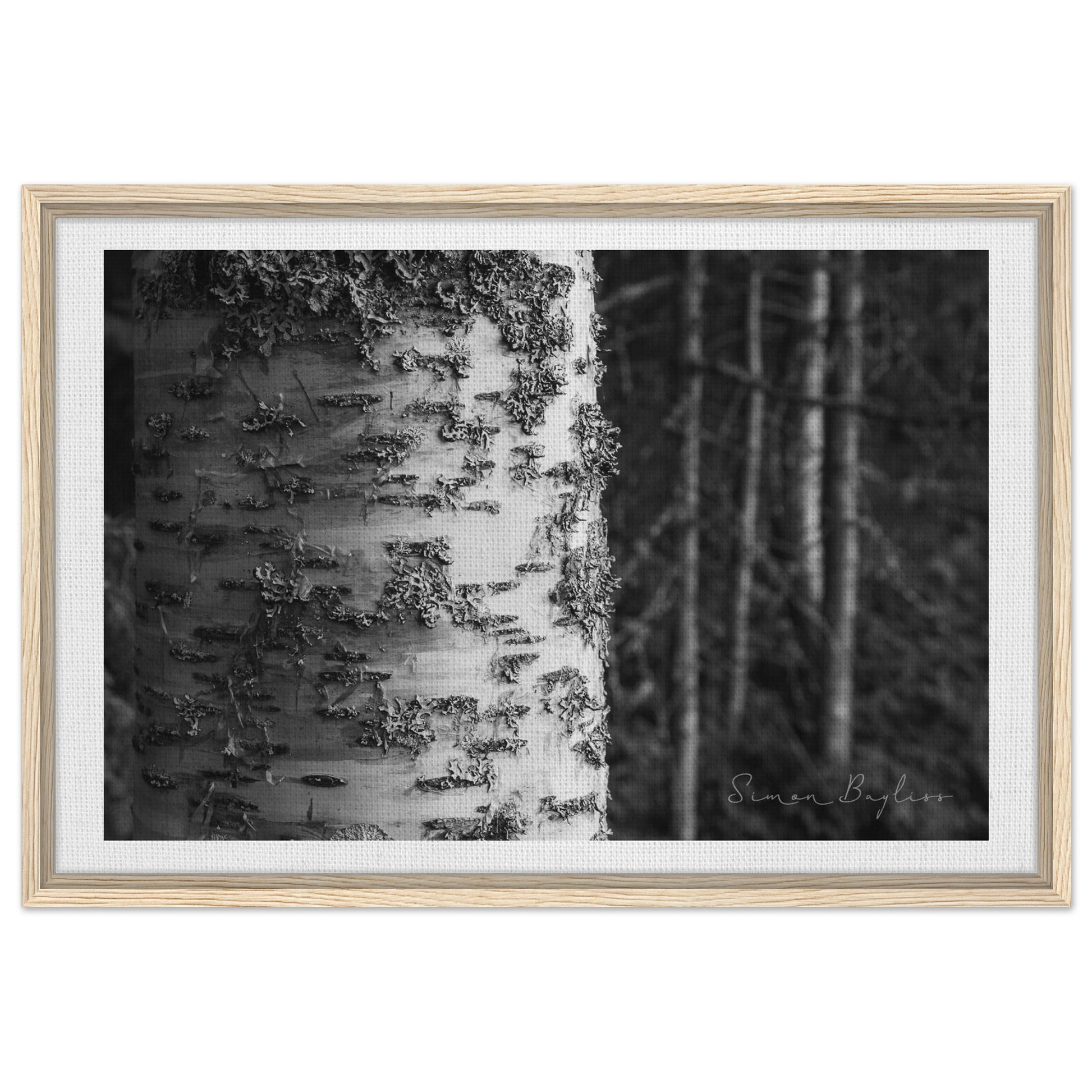 ac1f0a4d-0806-42c5-8b6e-a65e9b4e8171