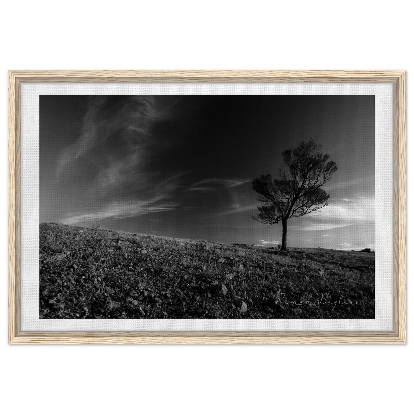 acc3026d-bea8-4bdb-a6fa-cff8b8a5195e