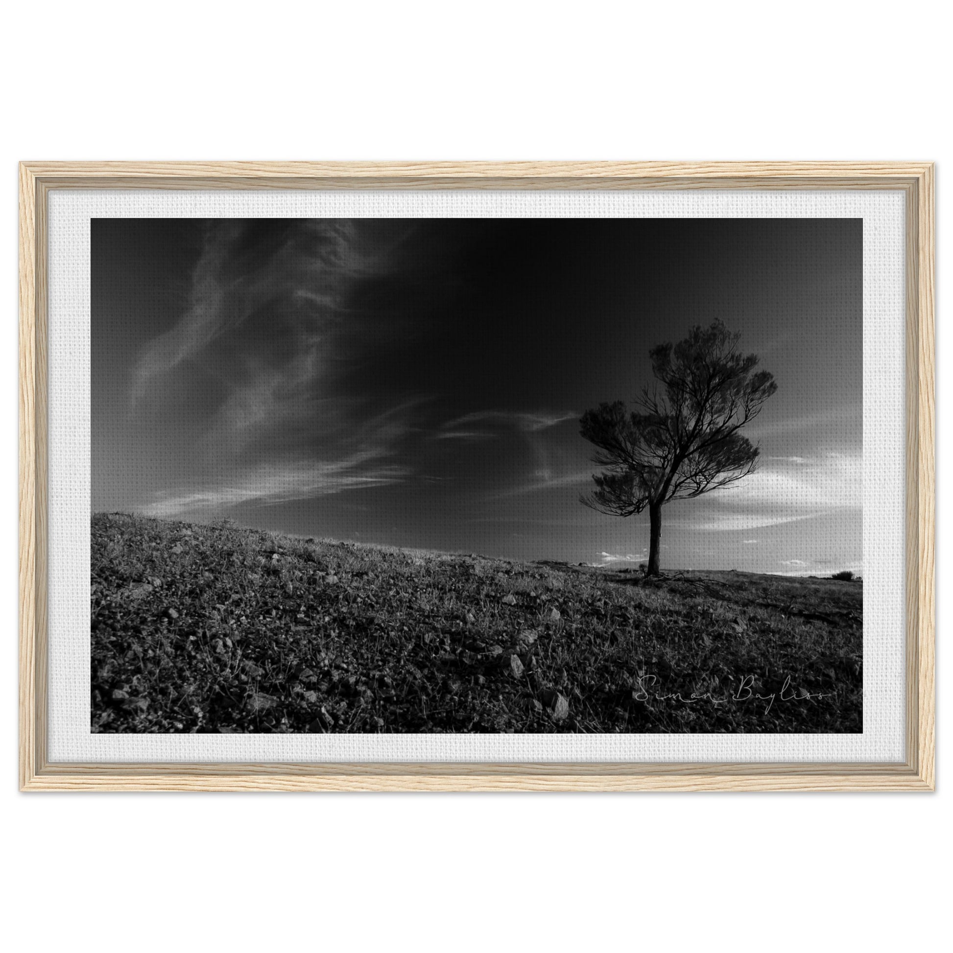 acc3026d-bea8-4bdb-a6fa-cff8b8a5195e