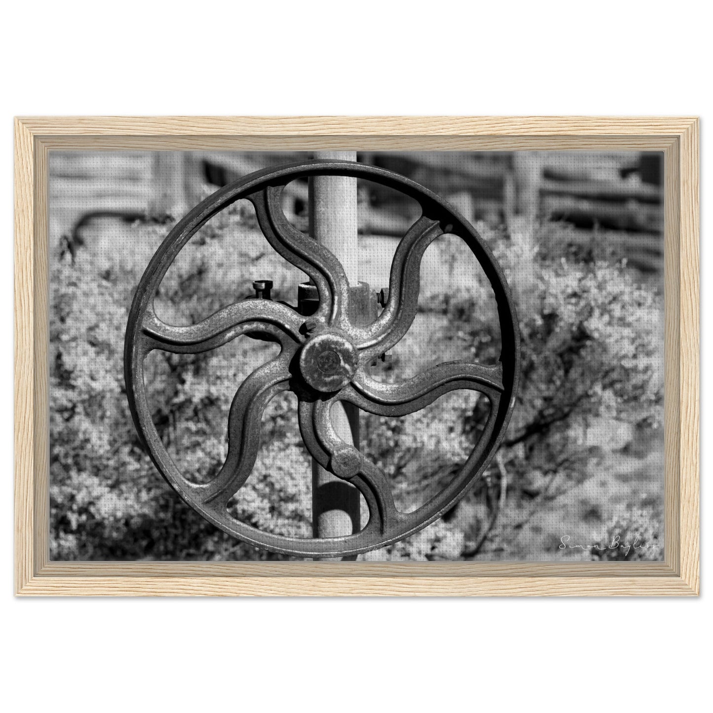 ad199814-4921-4481-88e4-65ed6a959a88