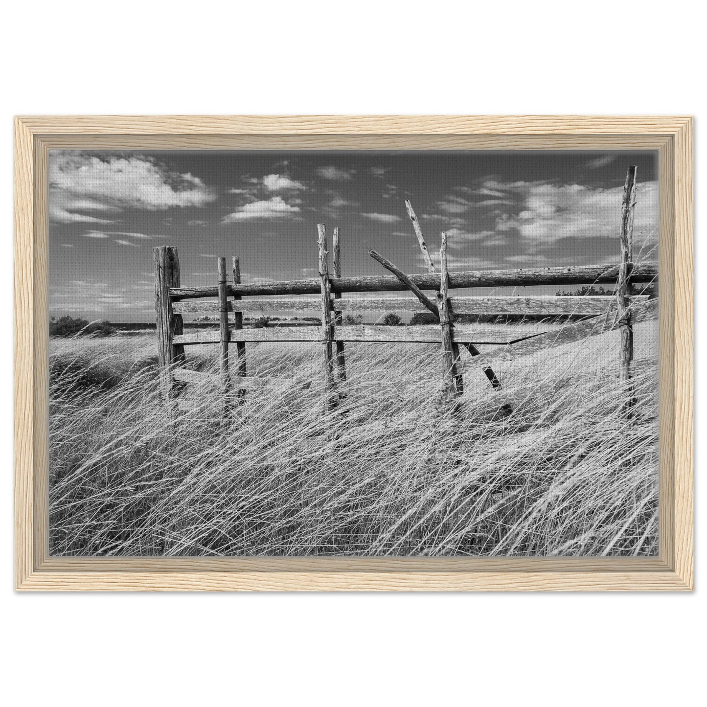 ad7d8af2-d7d0-4f1b-932e-5545393b9bc6