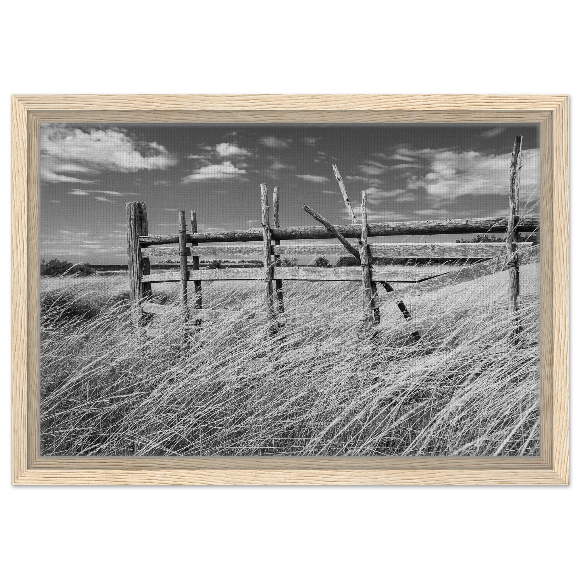 ad7d8af2-d7d0-4f1b-932e-5545393b9bc6