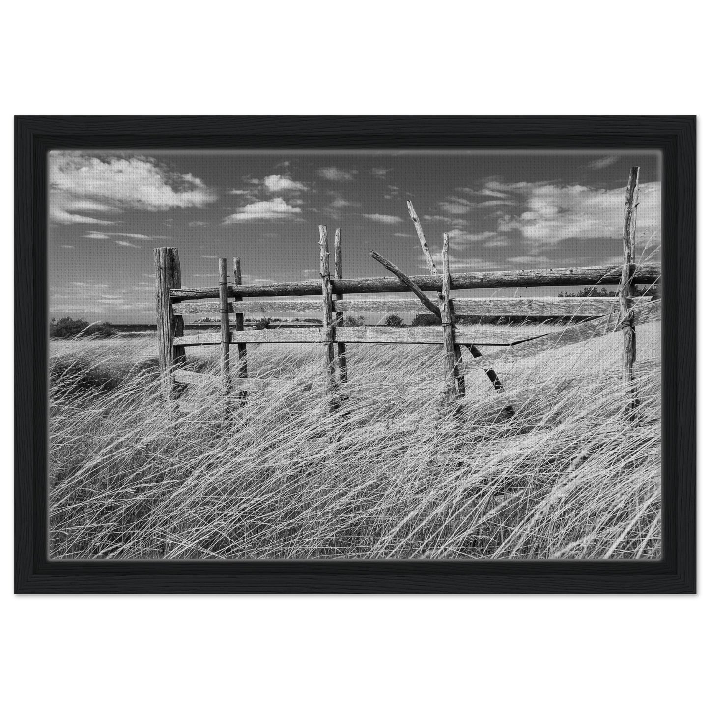 adff4ef1-66d2-4652-8b74-3dad028e0181