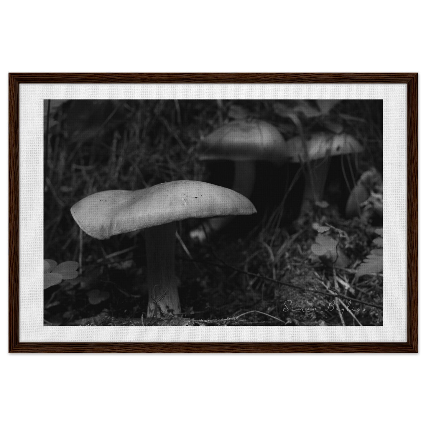 ae399433-191a-434e-9ae7-f57c3c66167f