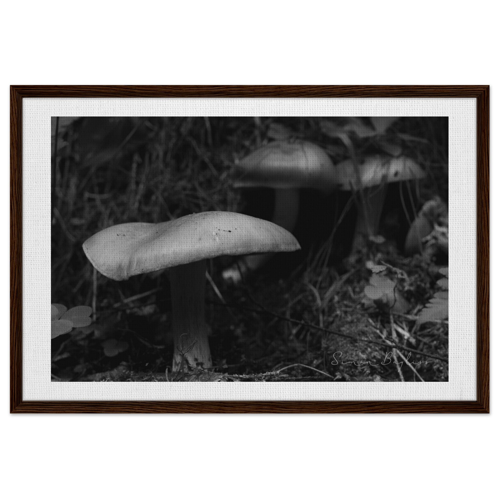 ae399433-191a-434e-9ae7-f57c3c66167f