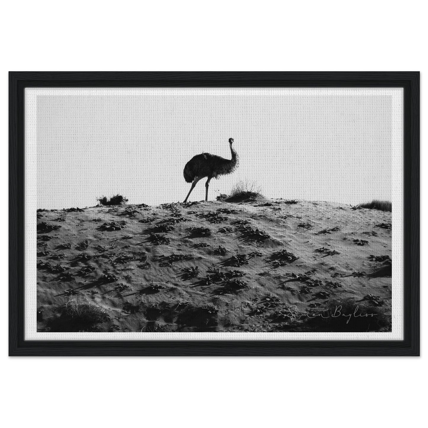 ae5d6e92-bd49-426e-905e-7df8c9485e1e