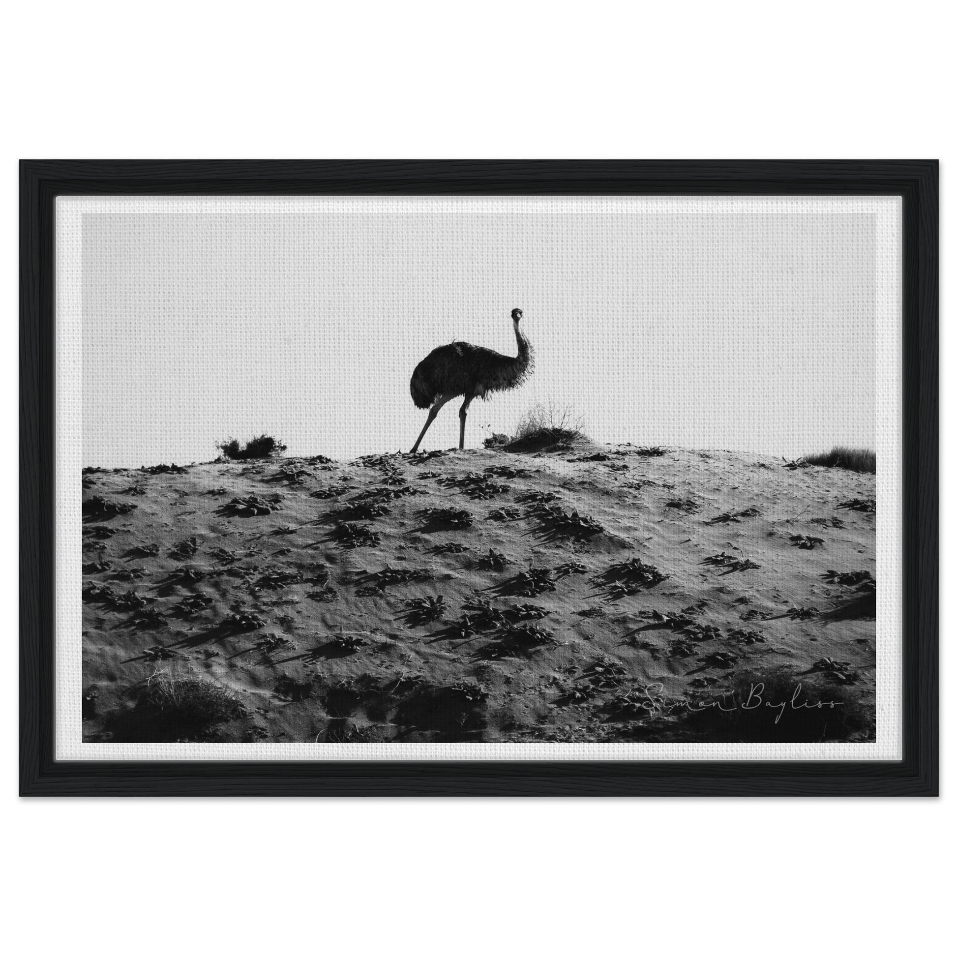 ae5d6e92-bd49-426e-905e-7df8c9485e1e