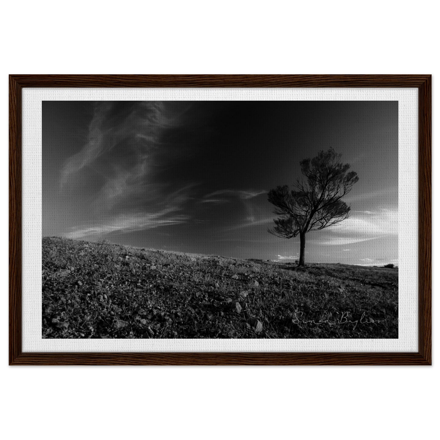 ae6a848f-72dd-4fcf-a879-400913b2b6d3