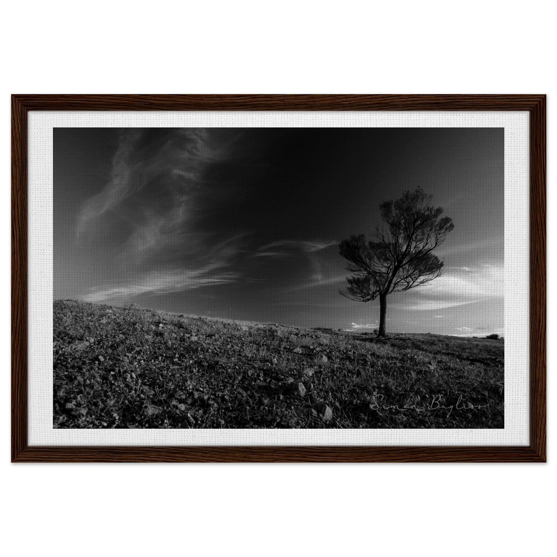 ae6a848f-72dd-4fcf-a879-400913b2b6d3