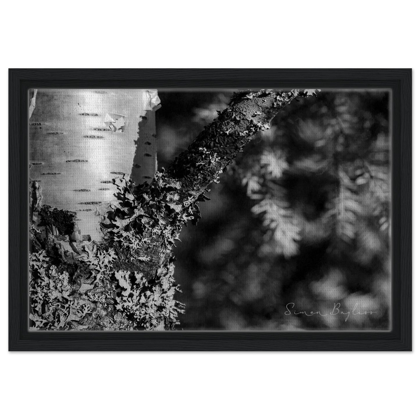 aea4531d-c1e8-4f6a-b501-c7f56c6e29bb