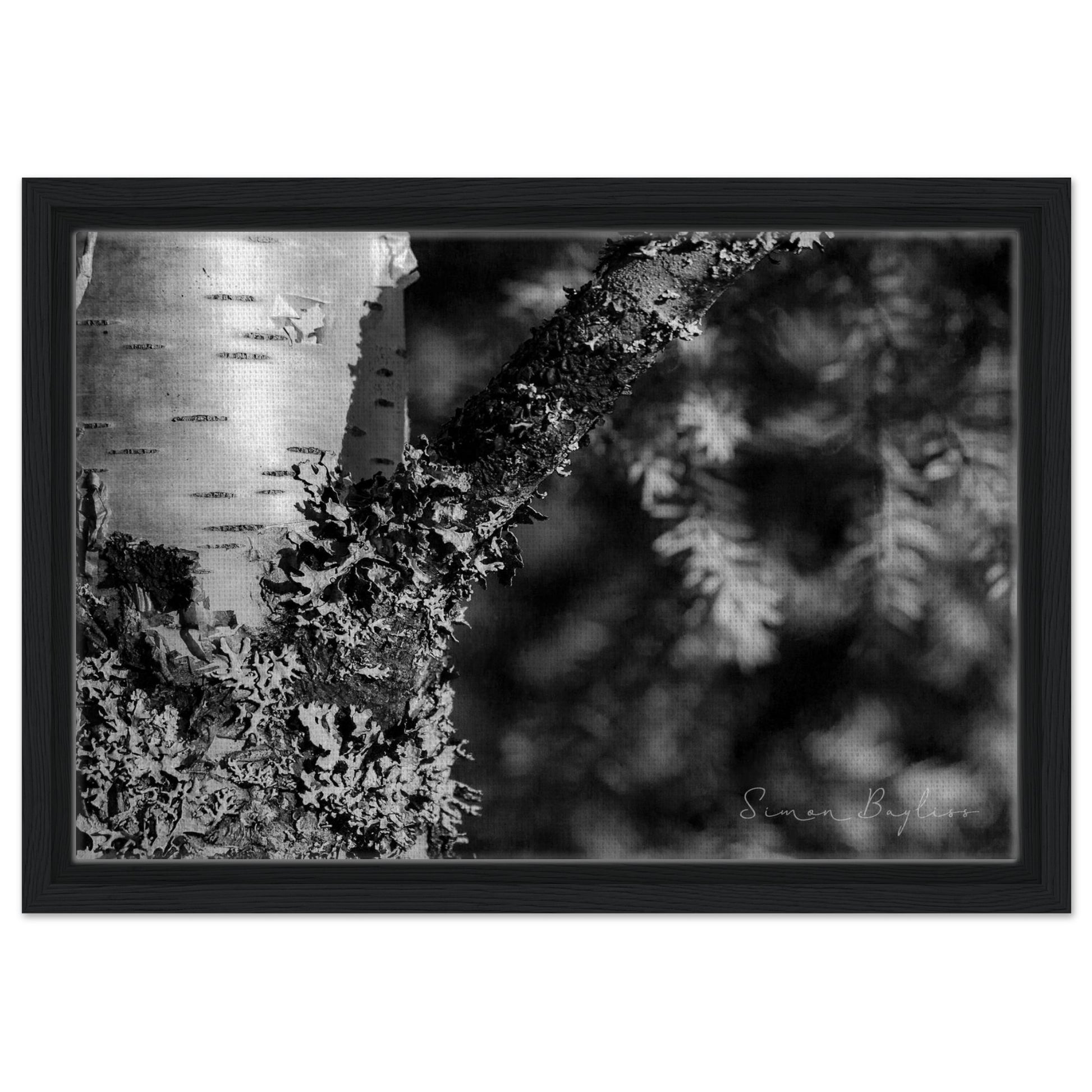 aea4531d-c1e8-4f6a-b501-c7f56c6e29bb