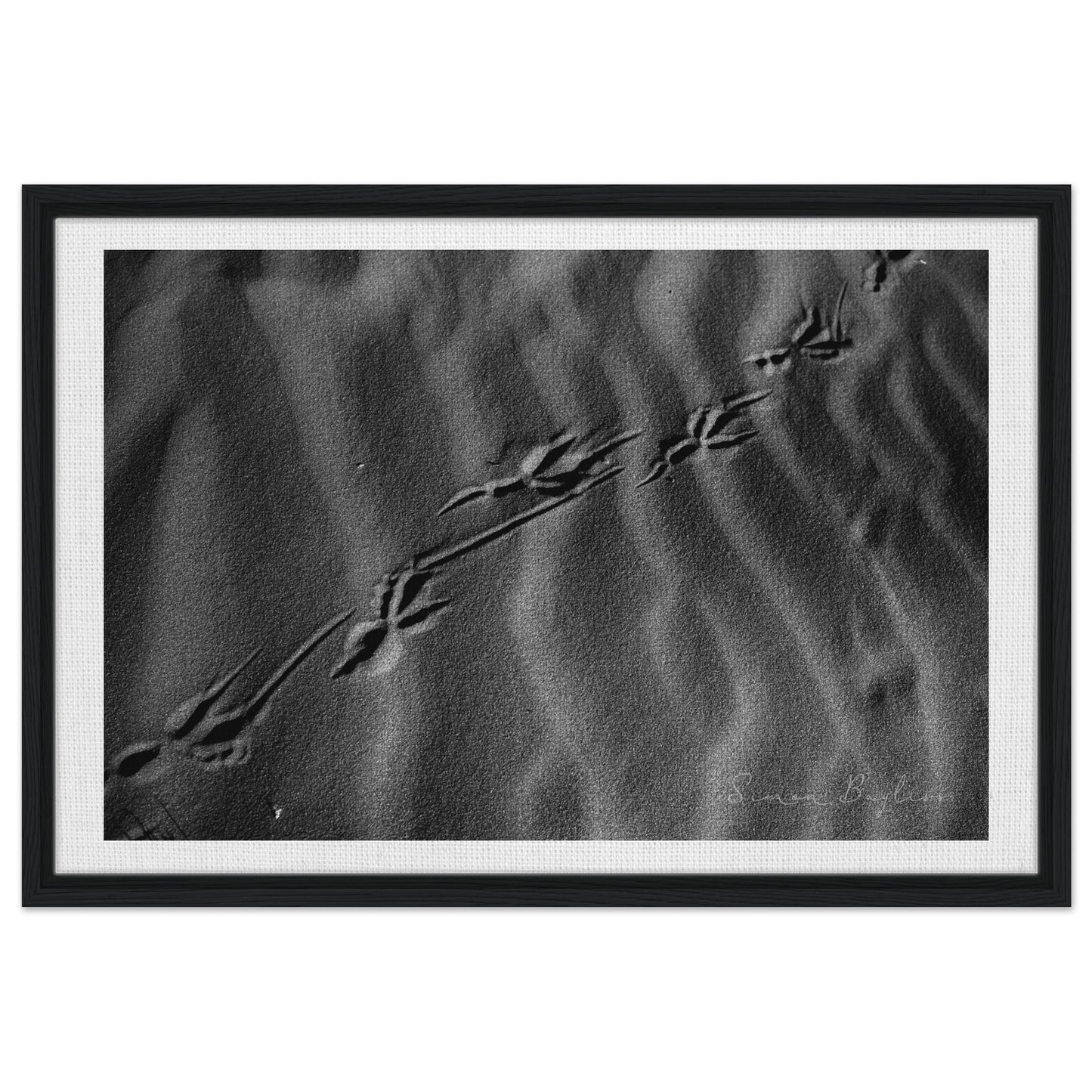 aed8e841-b56d-41c8-87a5-44da5f5b0b68